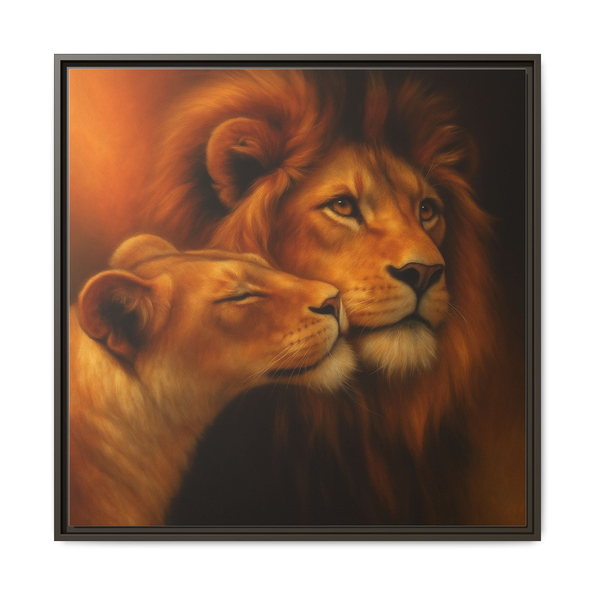 Lion Couple Wildlife