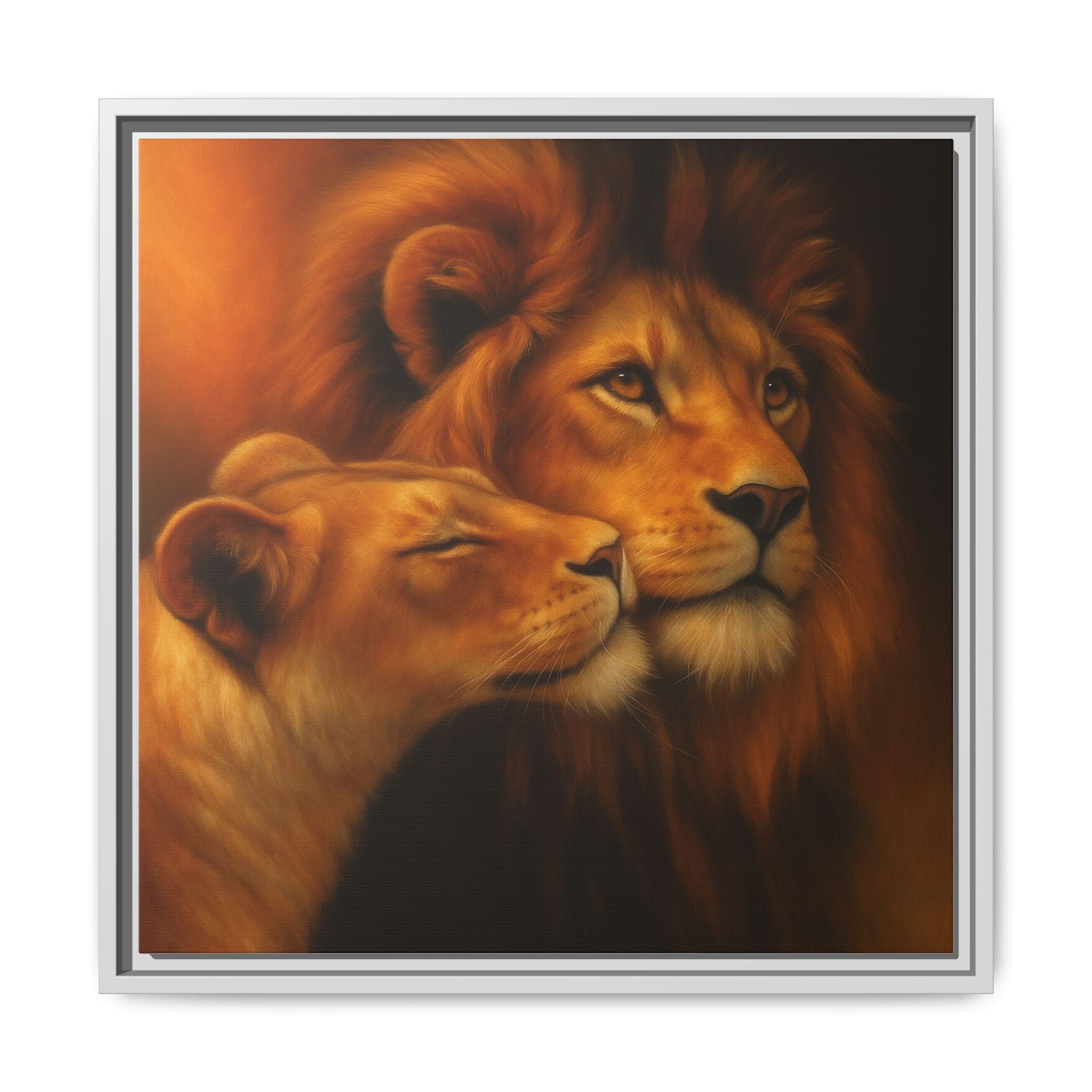 Lion Couple Wildlife