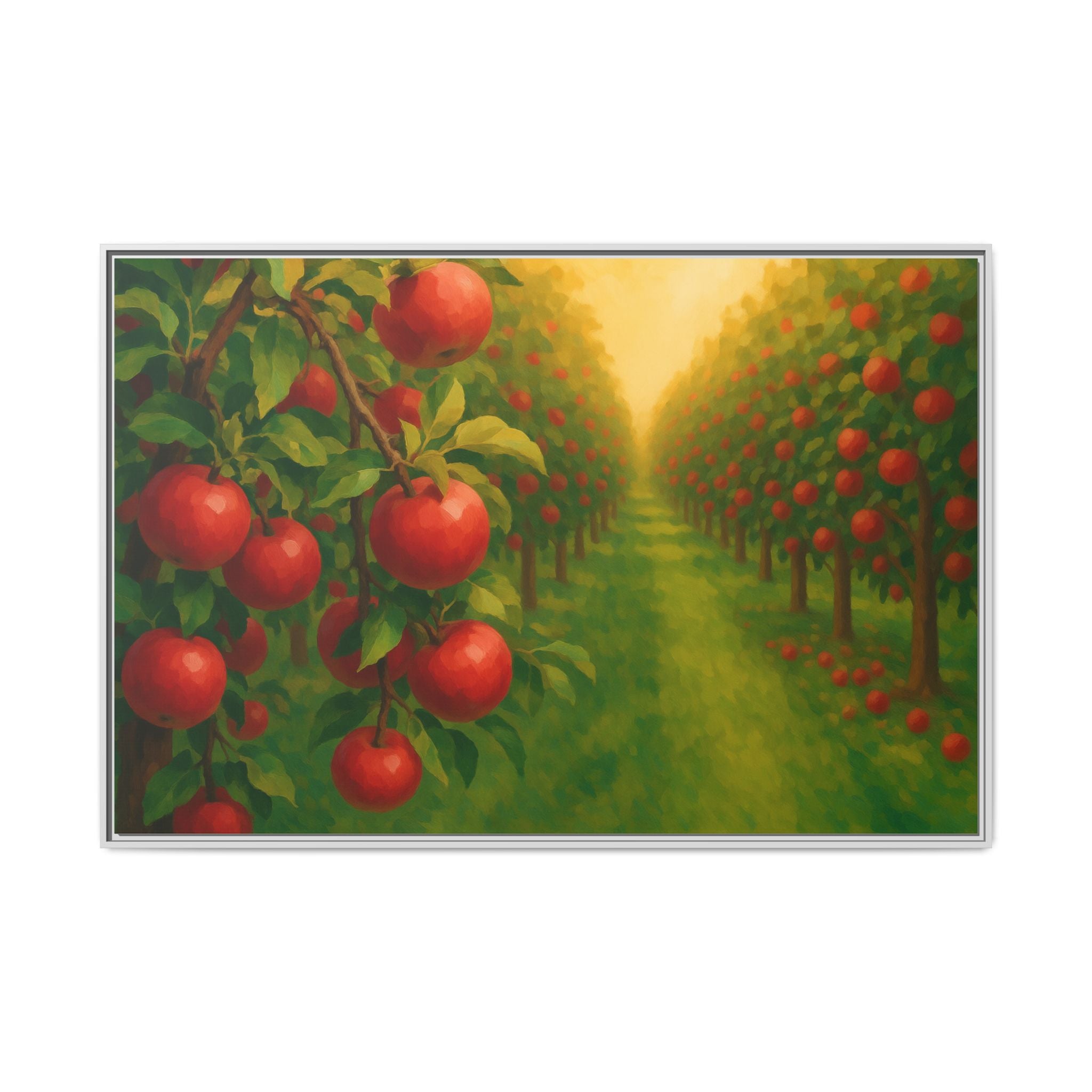 Apple Orchard Field