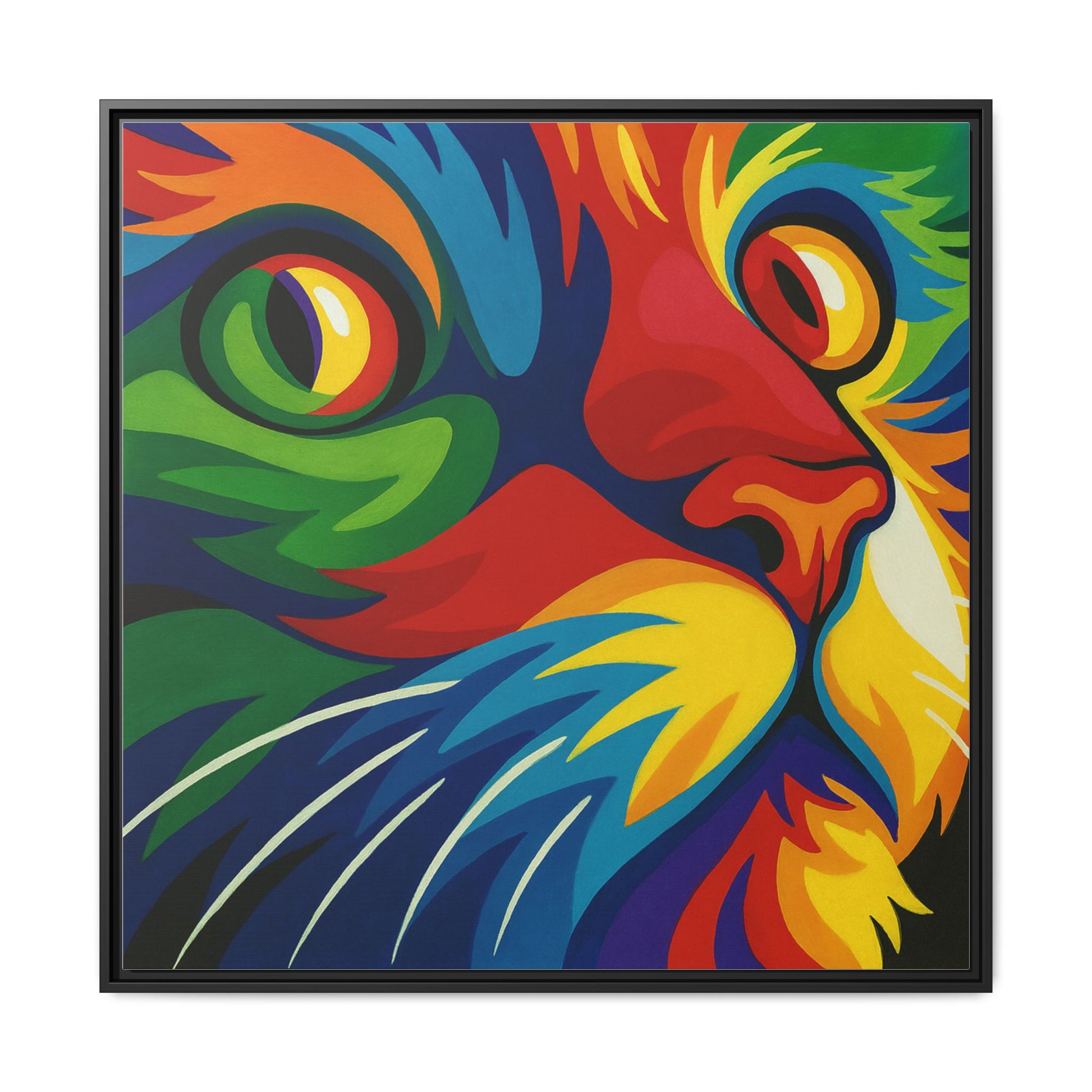 Color Cat Stare