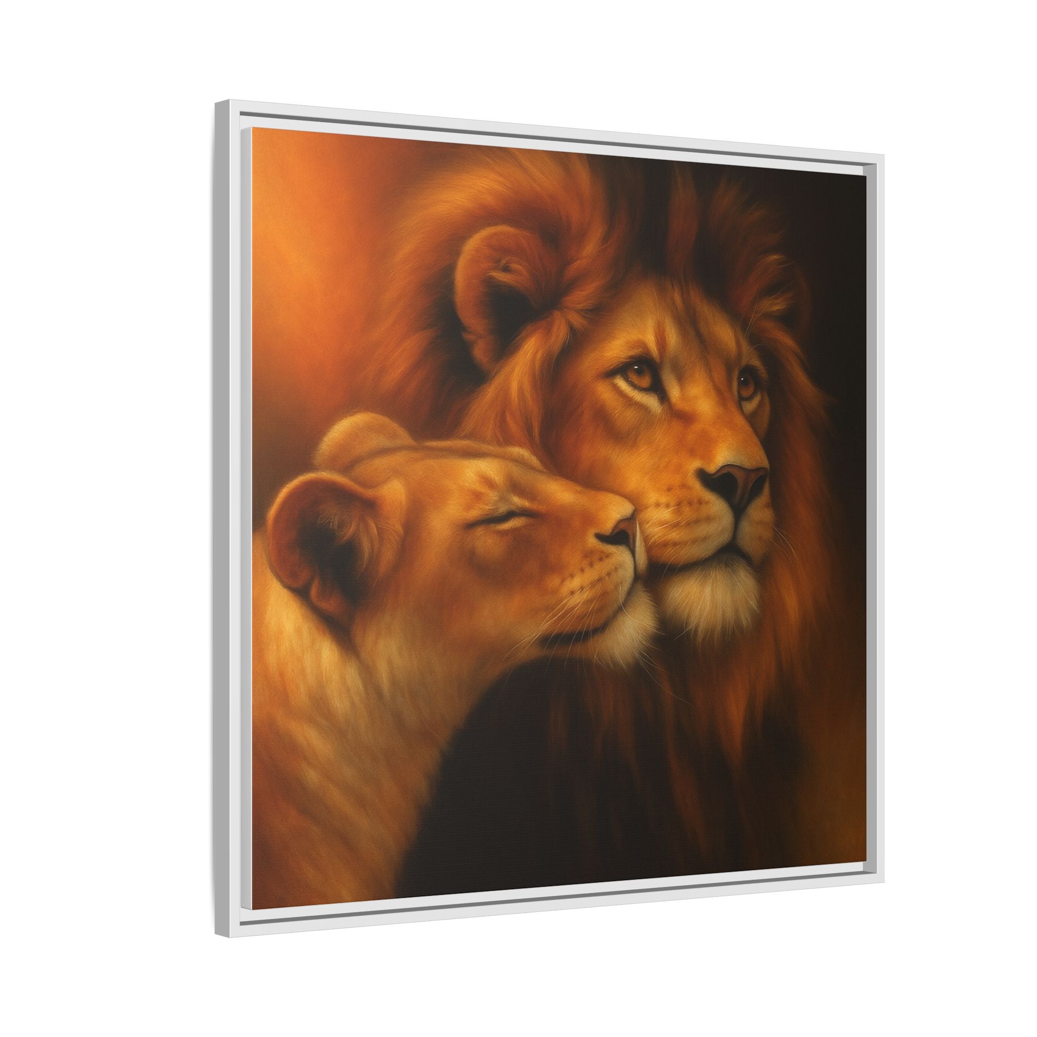 Lion Couple Wildlife