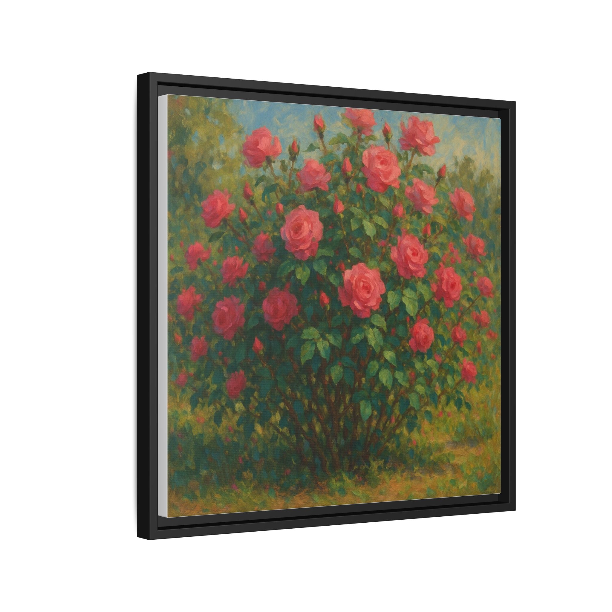 Pink Rose Bush