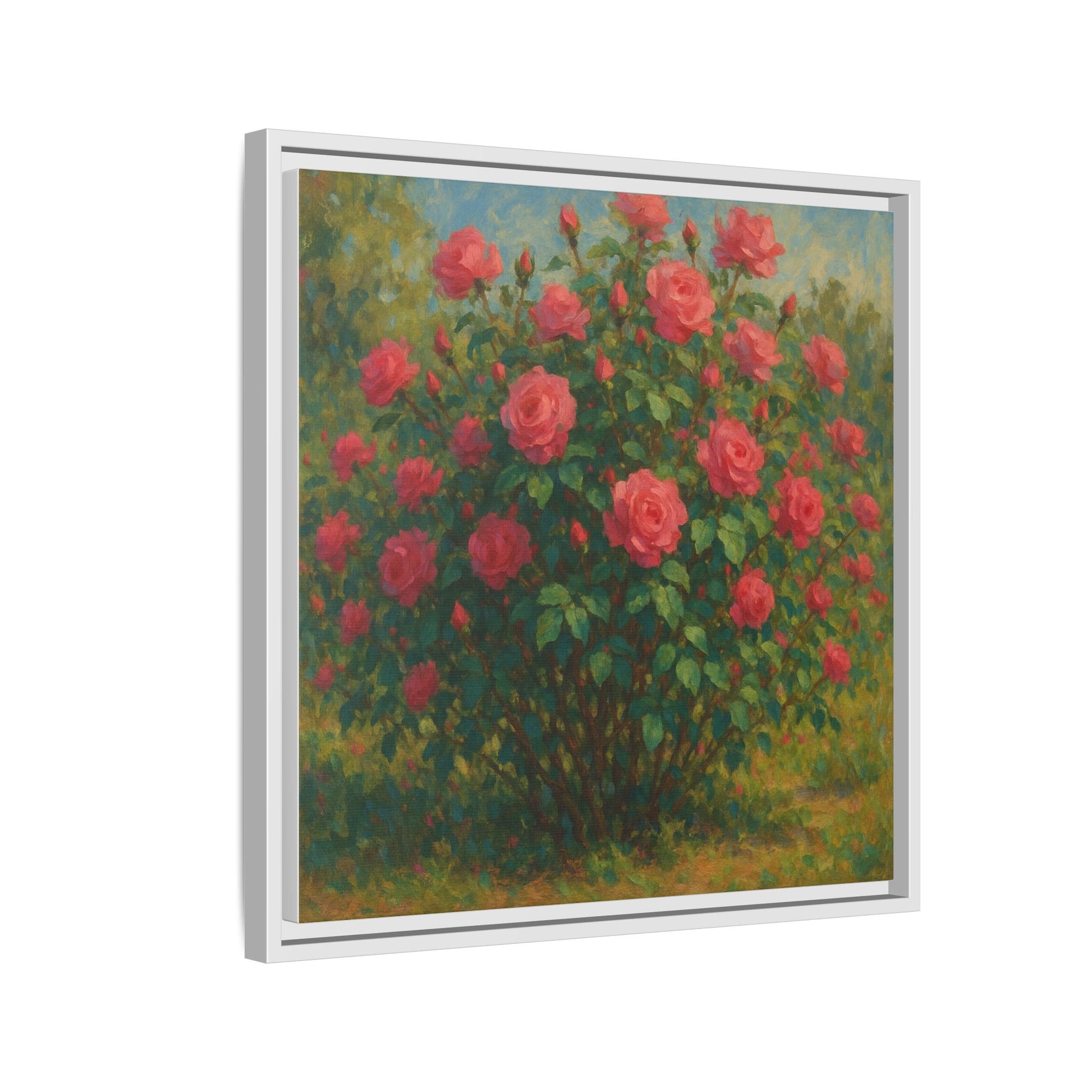 Pink Rose Bush