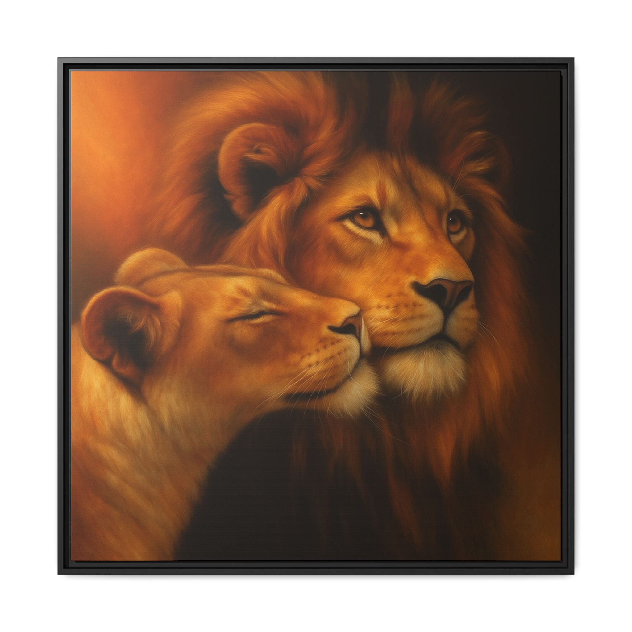 Lion Couple Wildlife