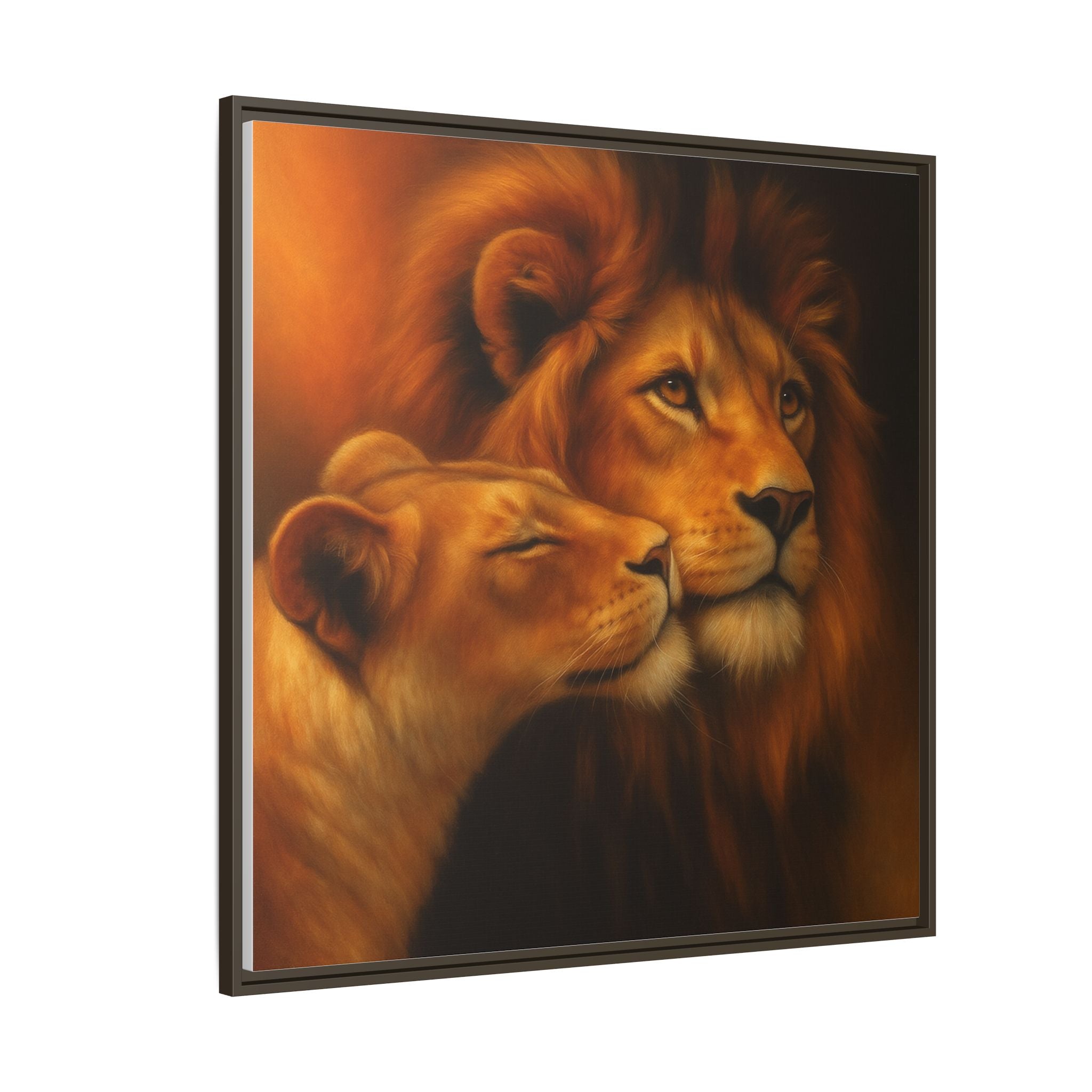 Lion Couple Wildlife