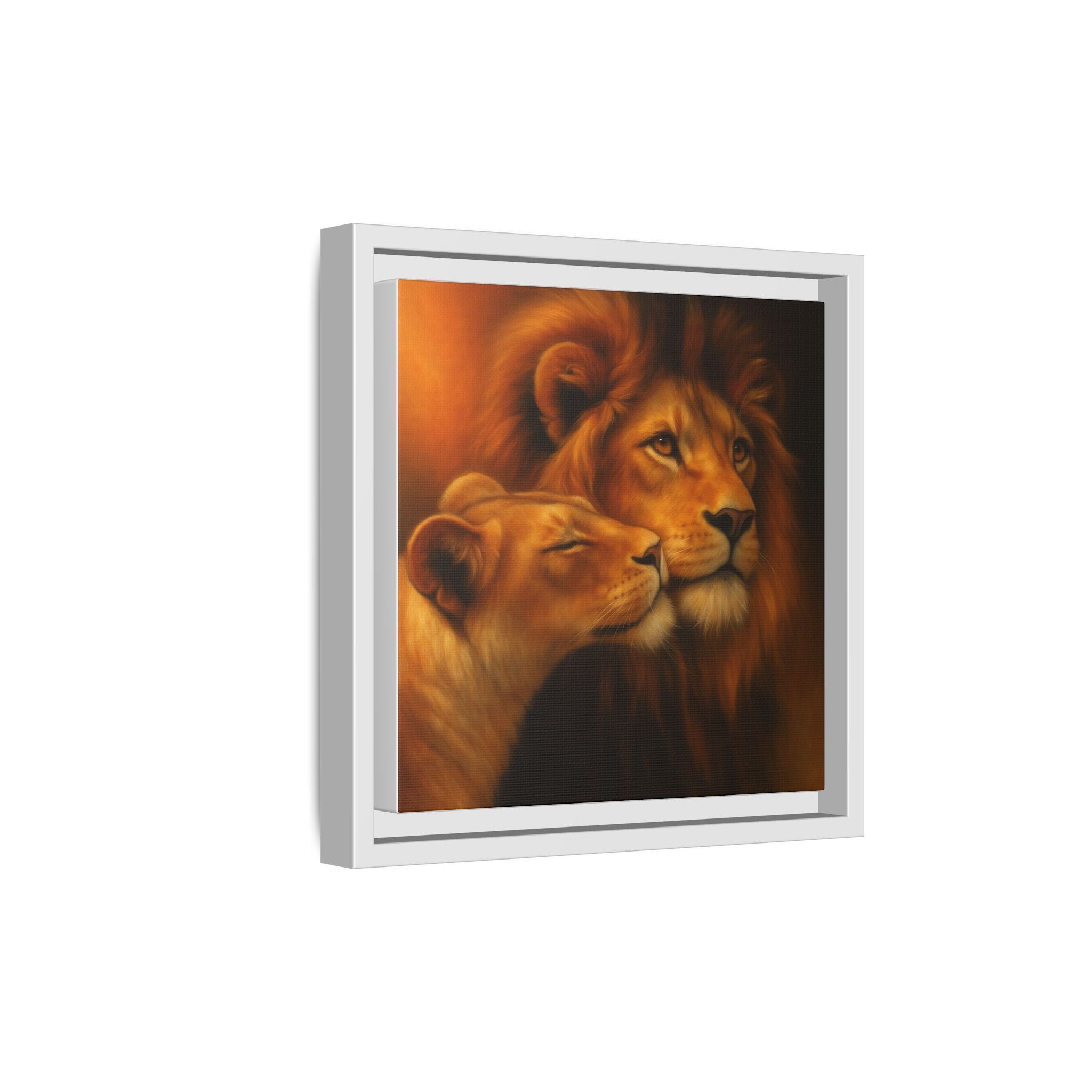 Lion Couple Wildlife