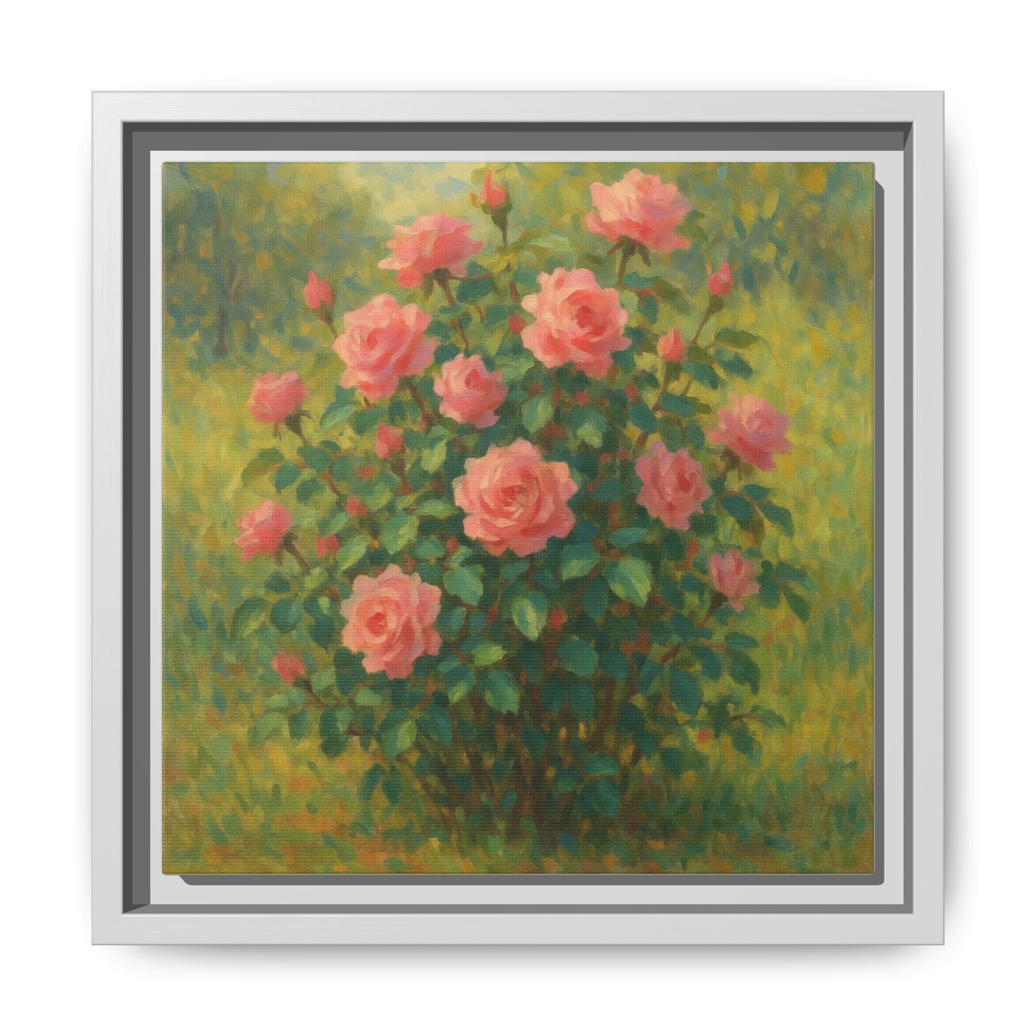 Pink Rose Bush 2