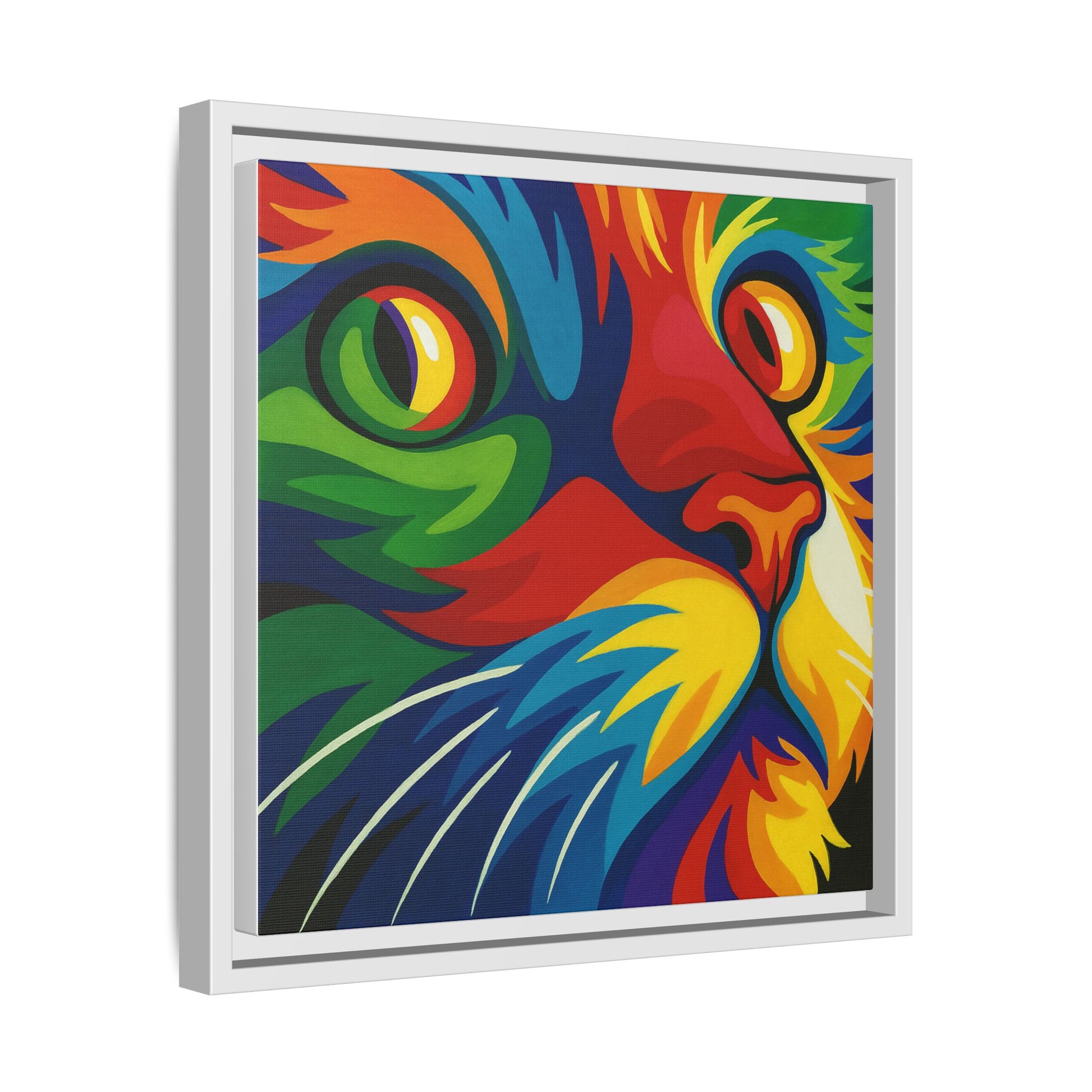 Color Cat Stare