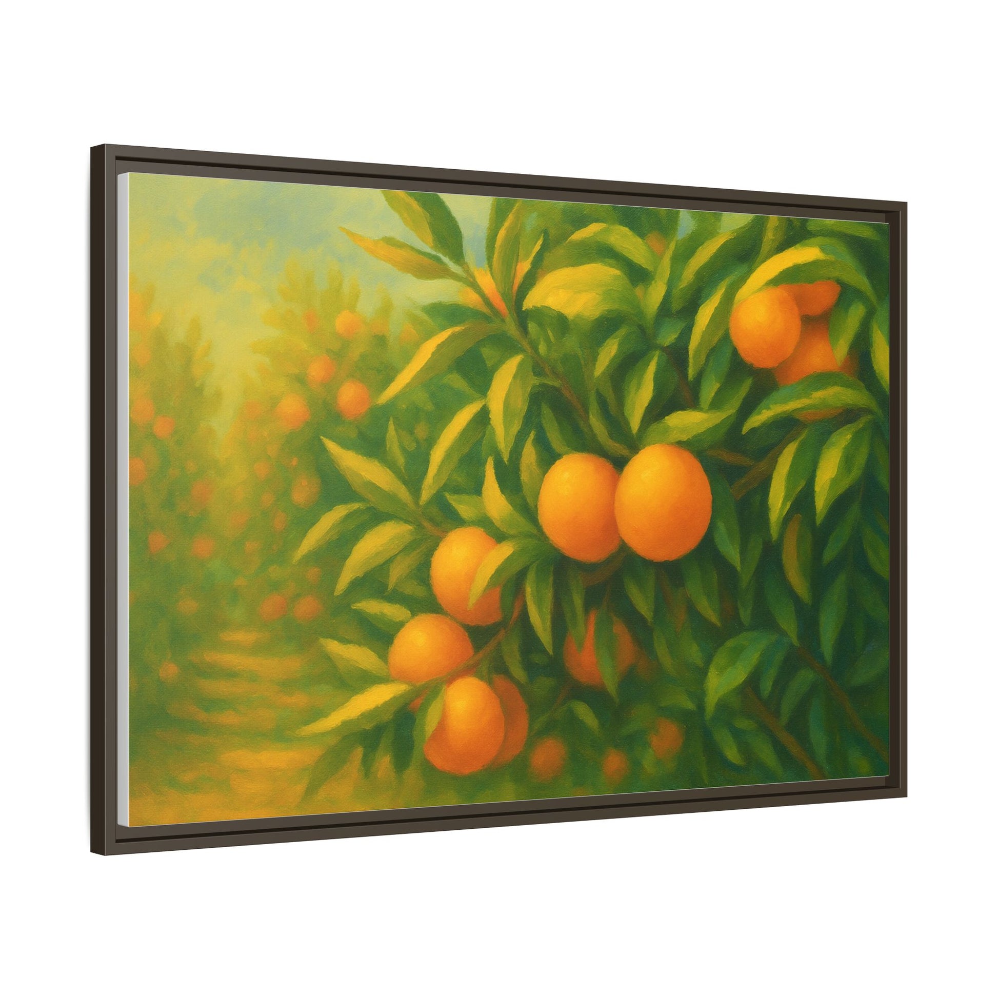 Orange Orchard Field