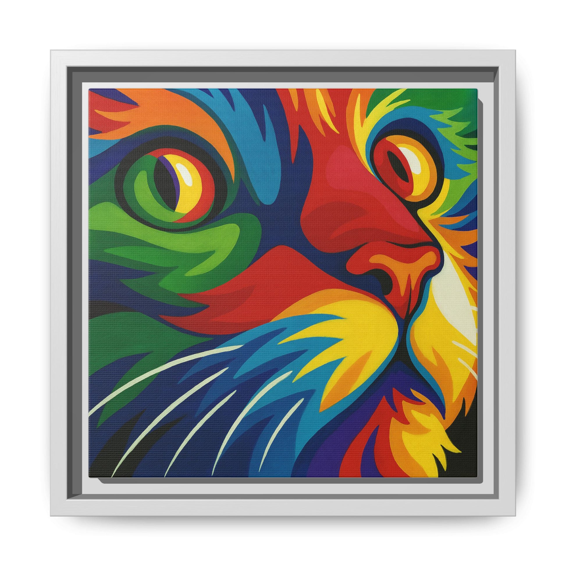 Color Cat Stare