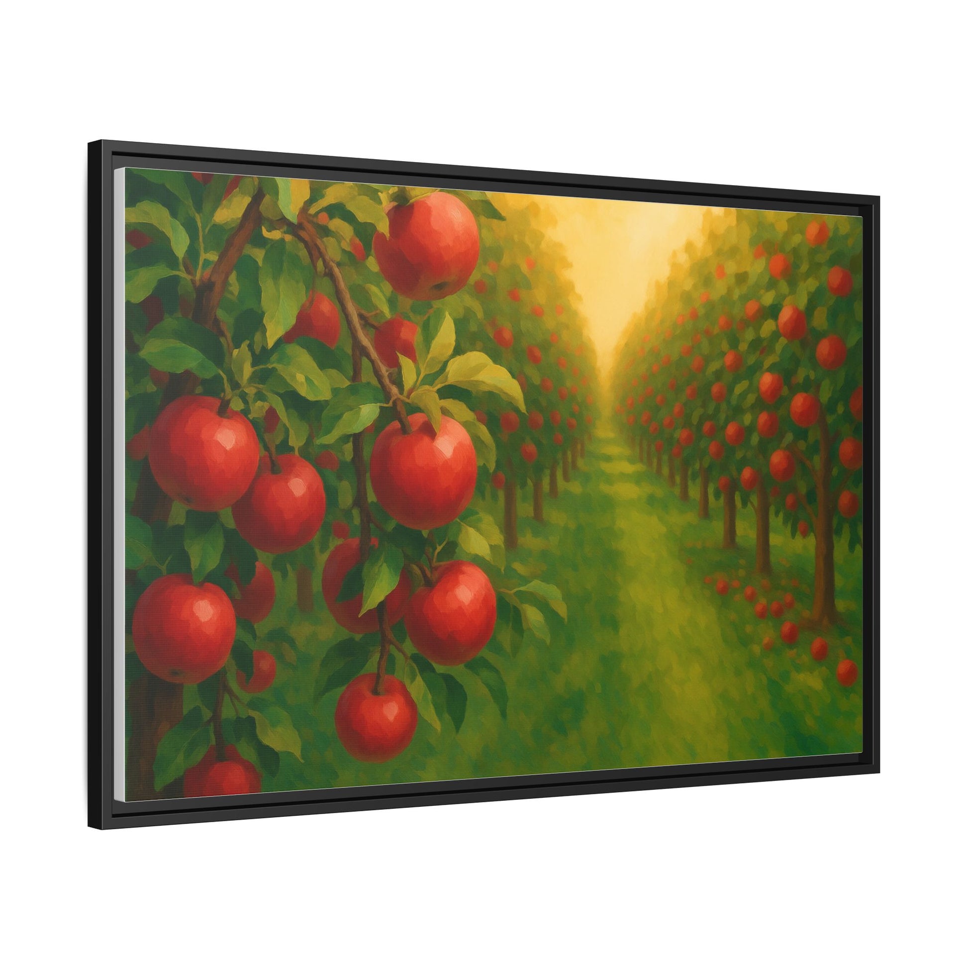 Apple Orchard Field