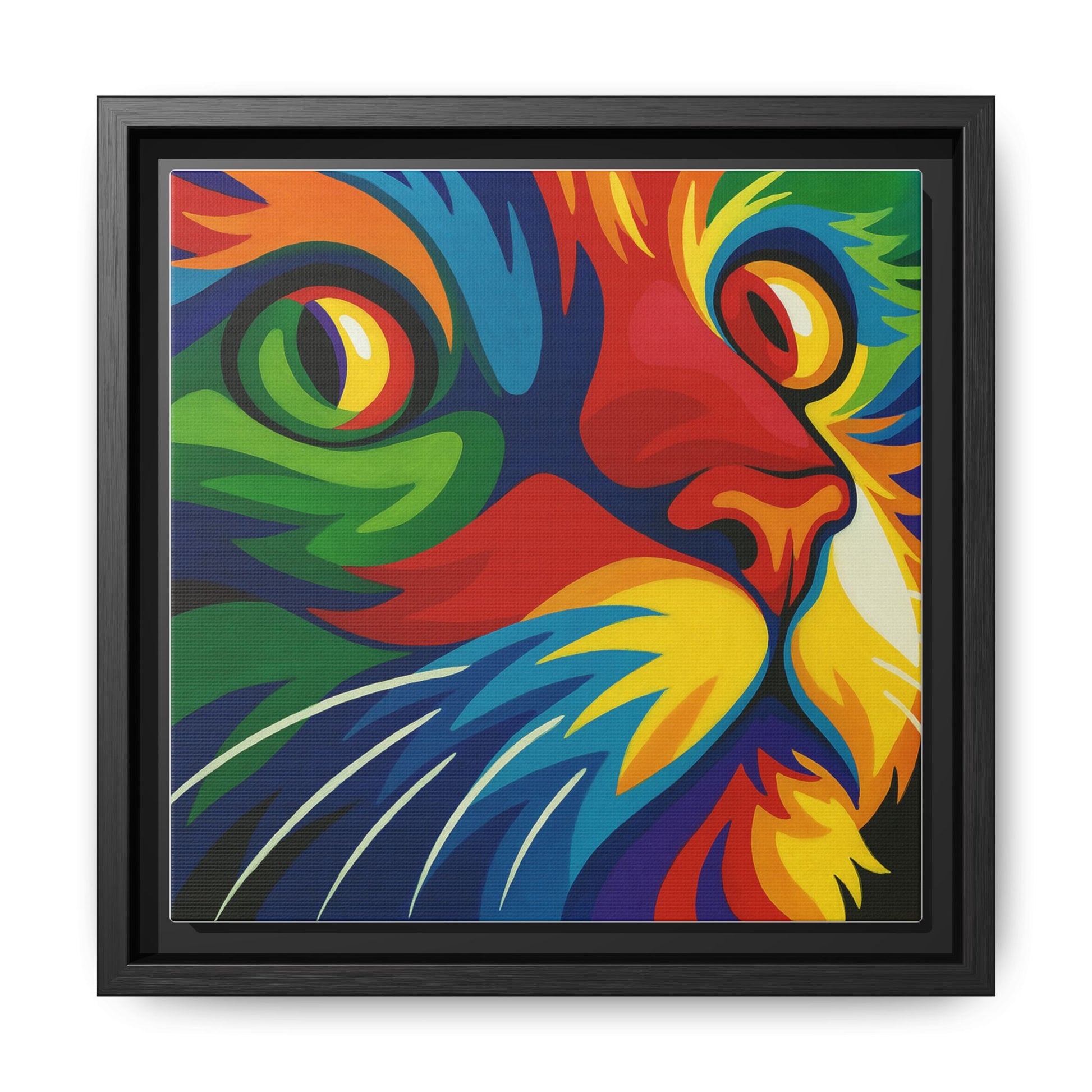 Color Cat Stare