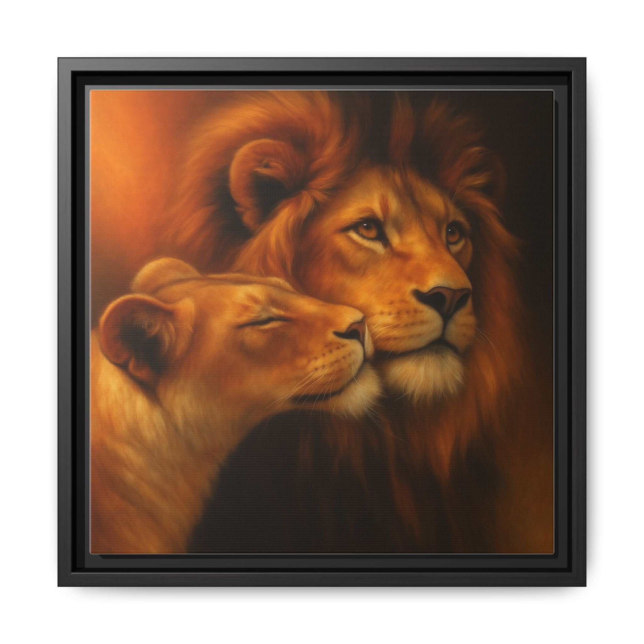 Lion Couple Wildlife