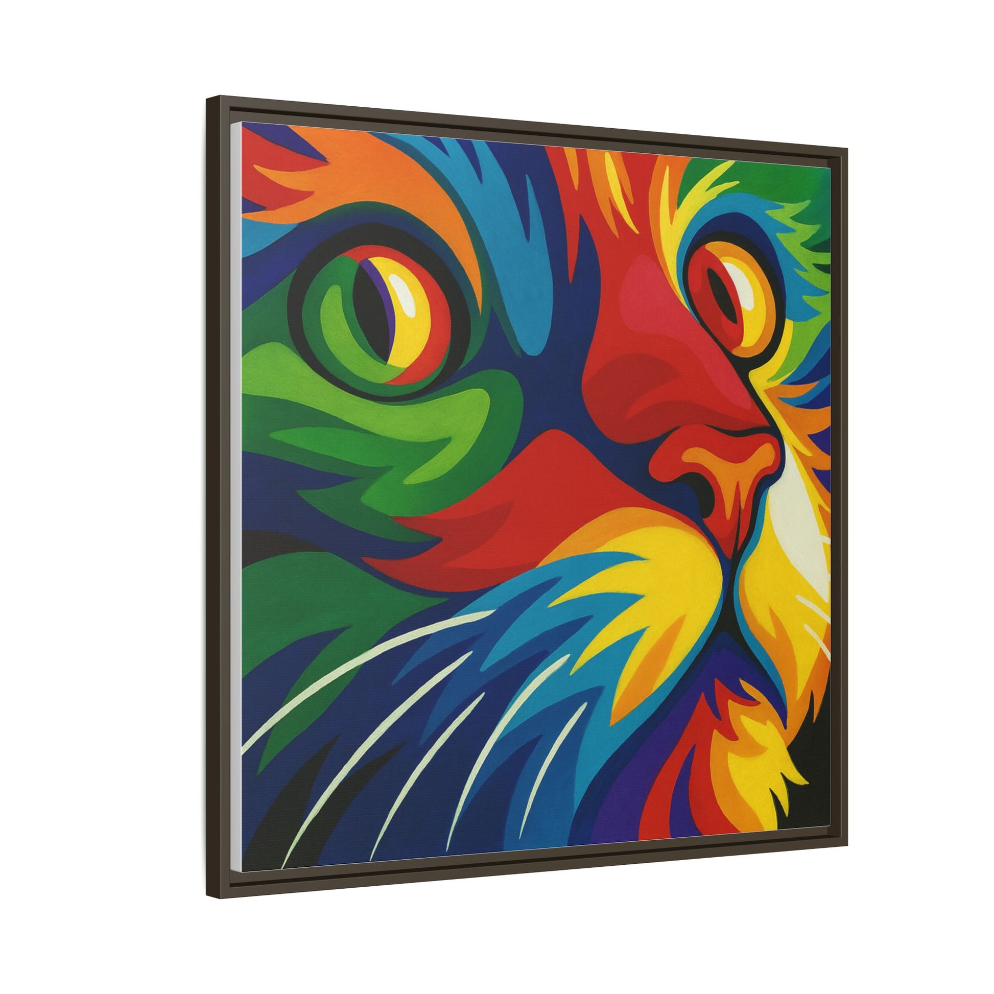 Color Cat Stare