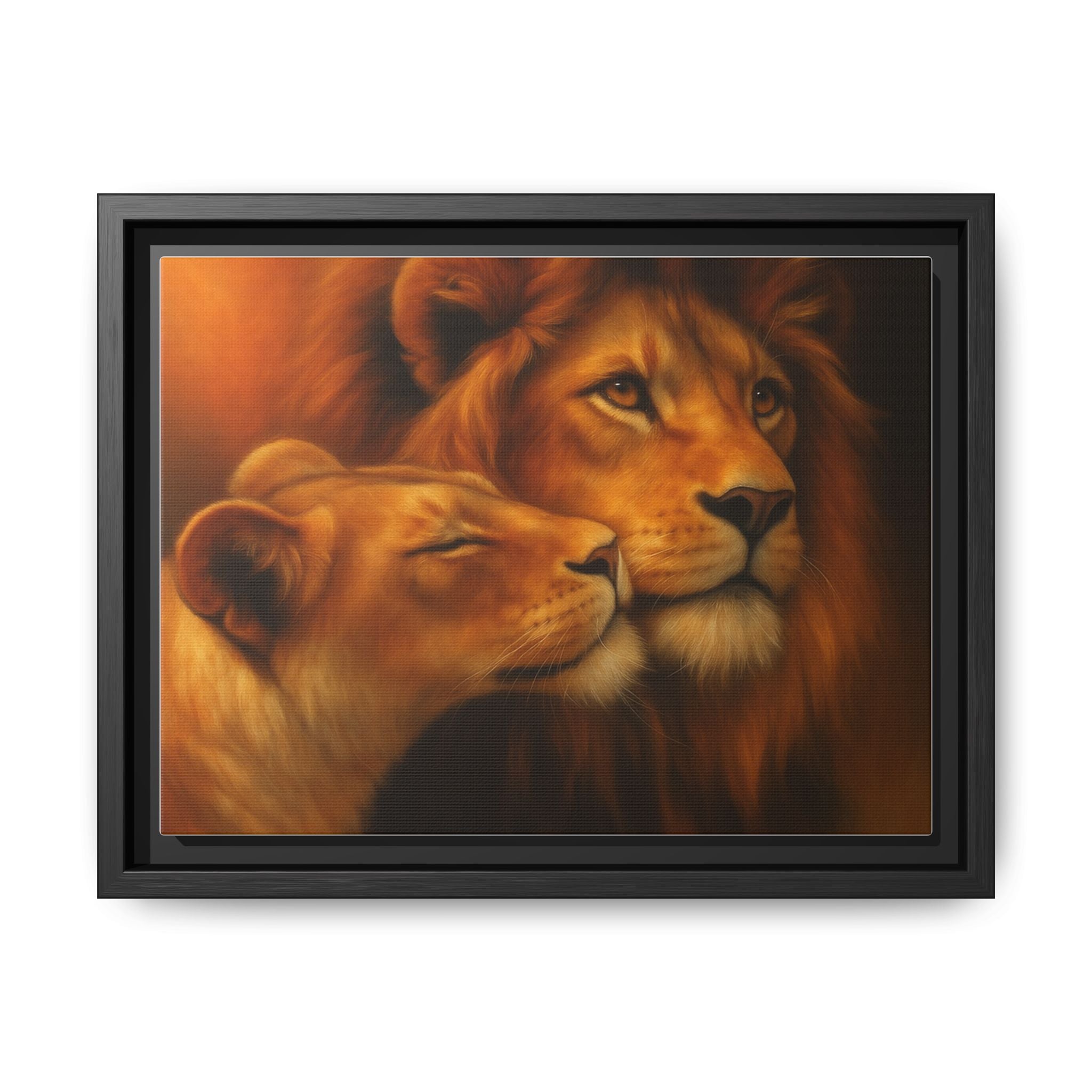 Lion Couple Wildlife