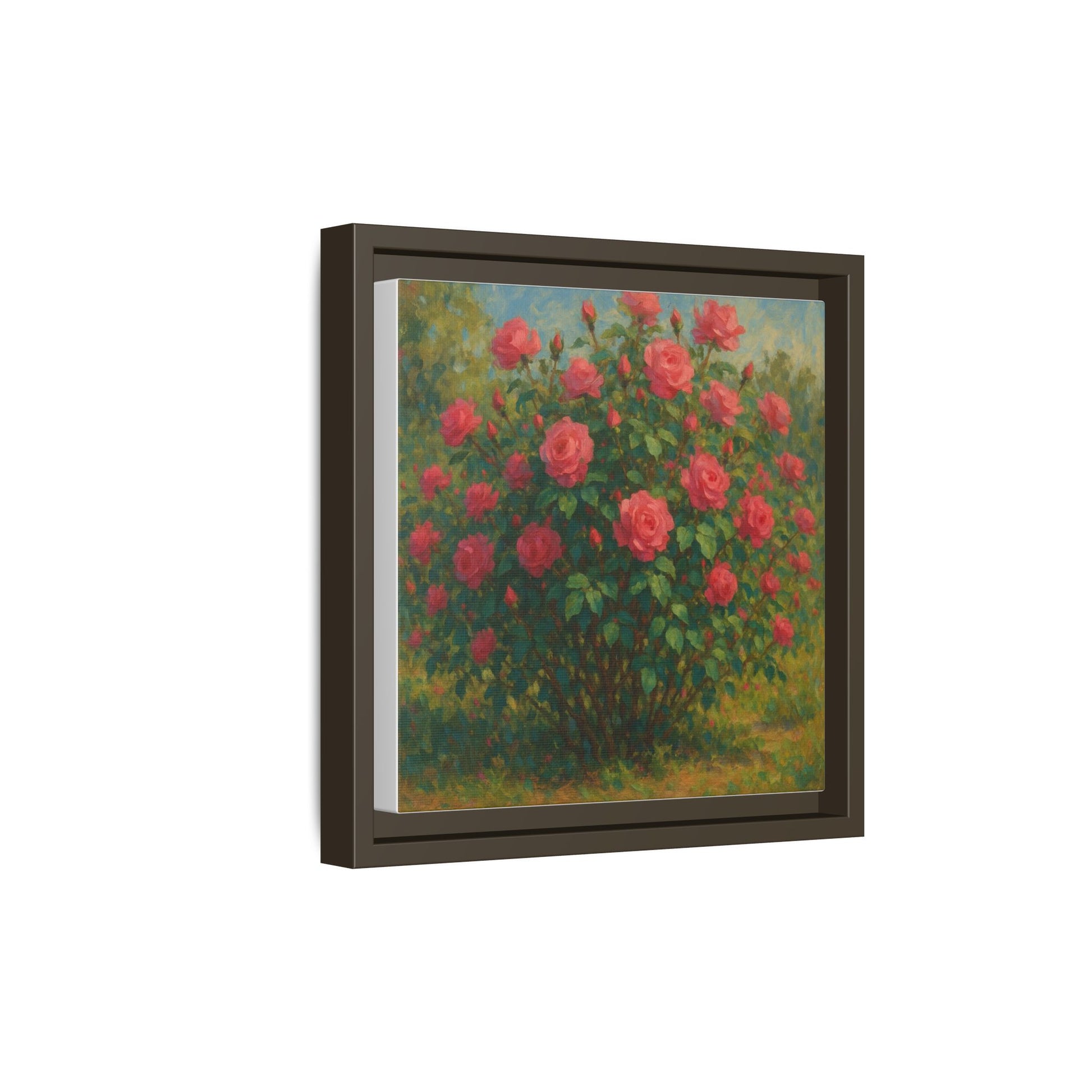 Pink Rose Bush