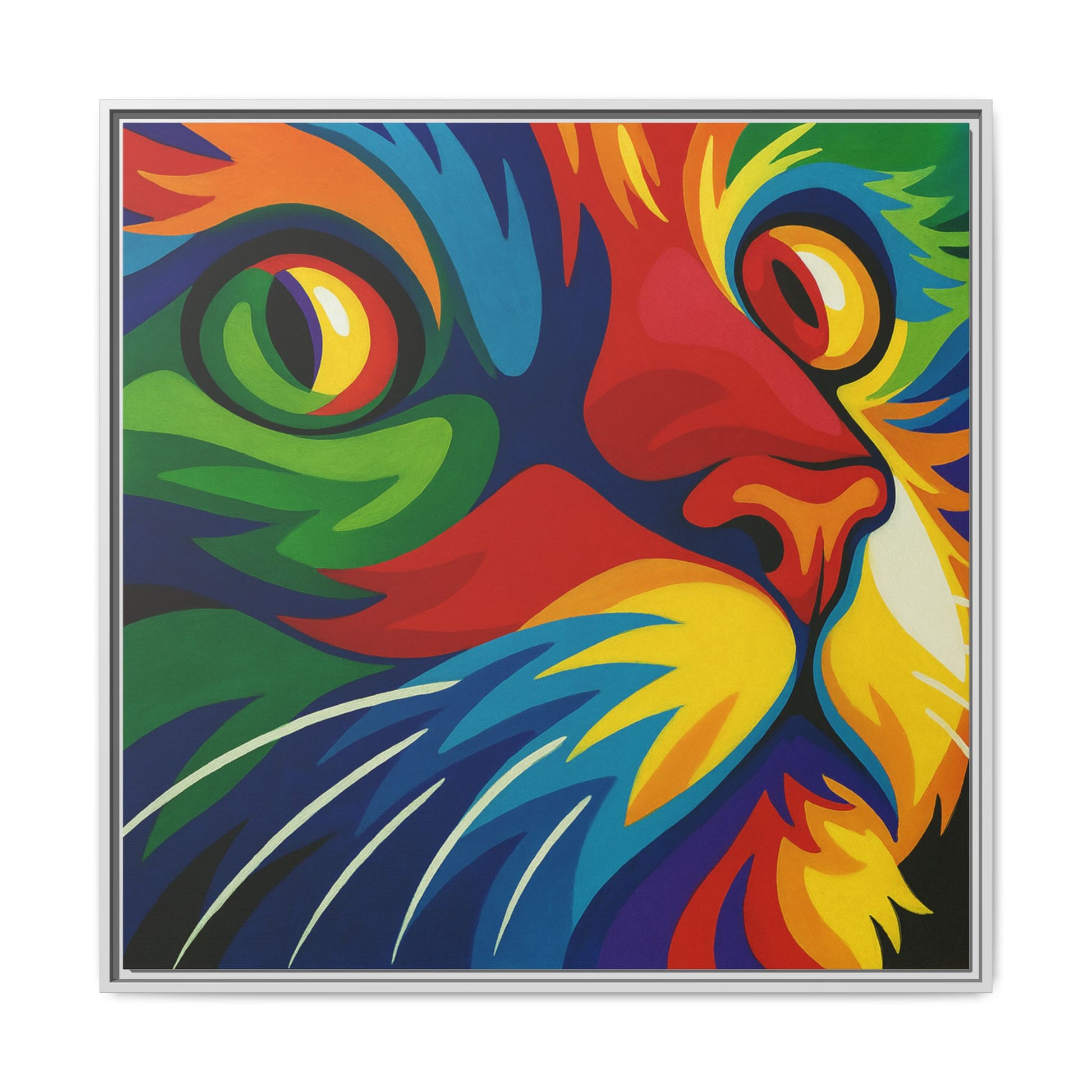 Color Cat Stare