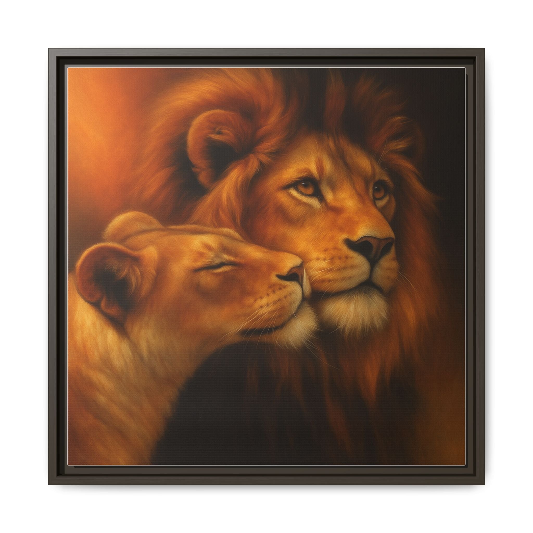 Lion Couple Wildlife