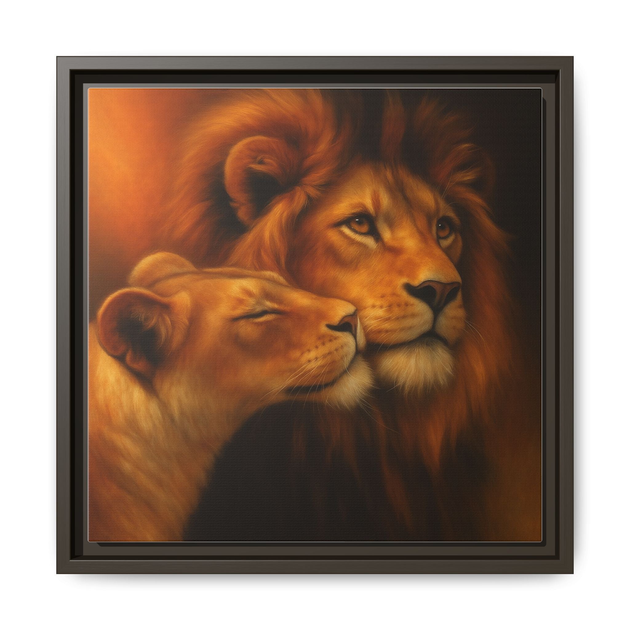 Lion Couple Wildlife