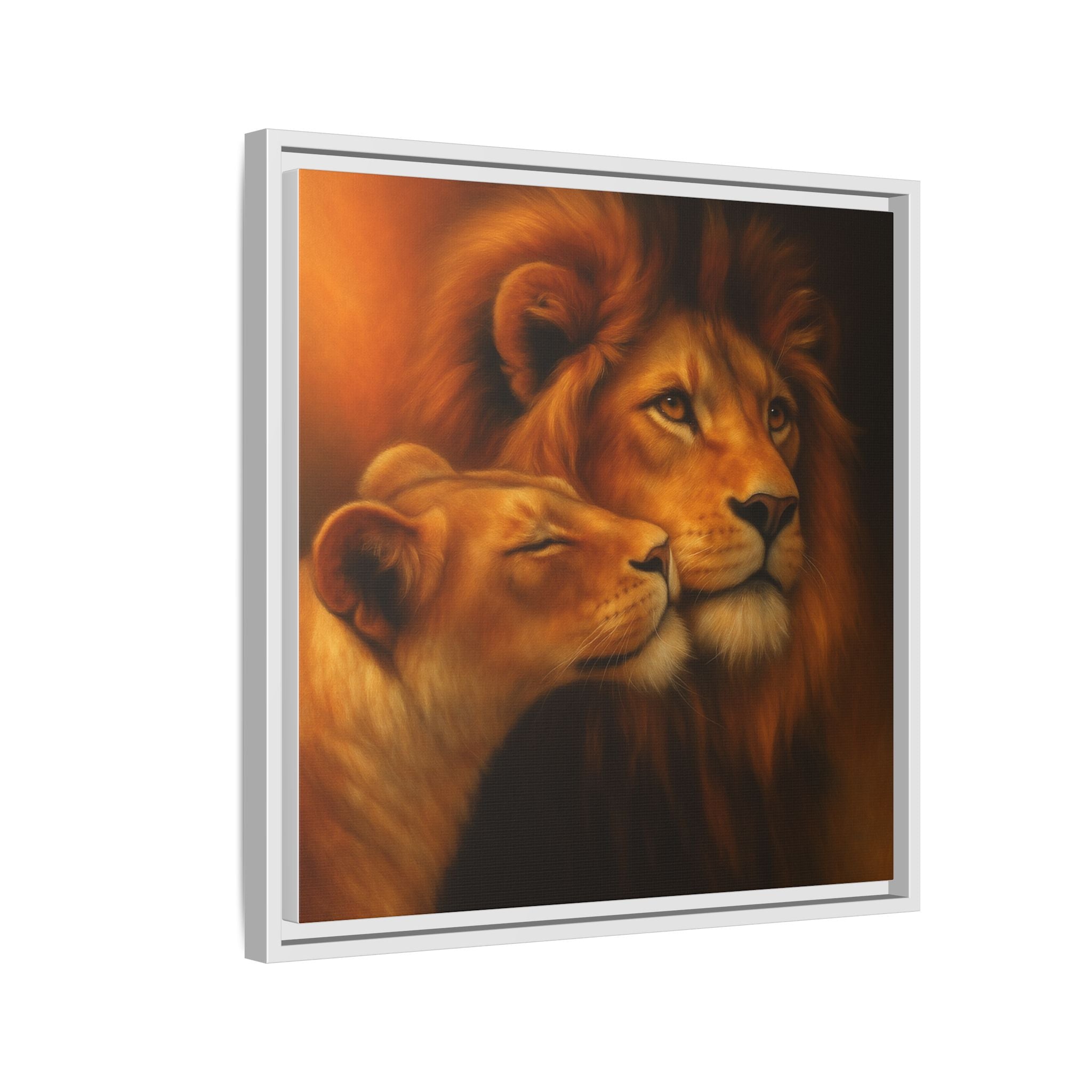 Lion Couple Wildlife