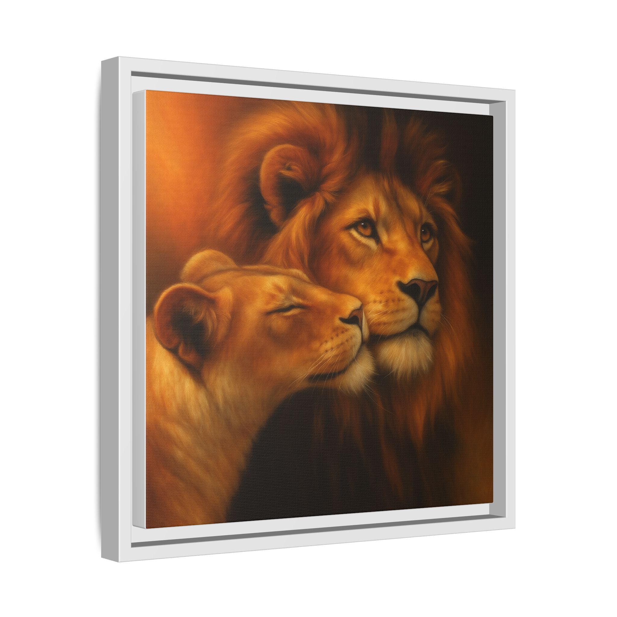 Lion Couple Wildlife