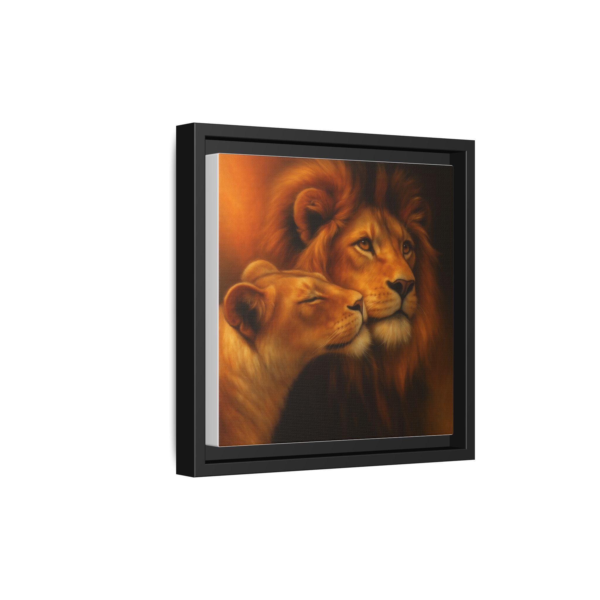 Lion Couple Wildlife