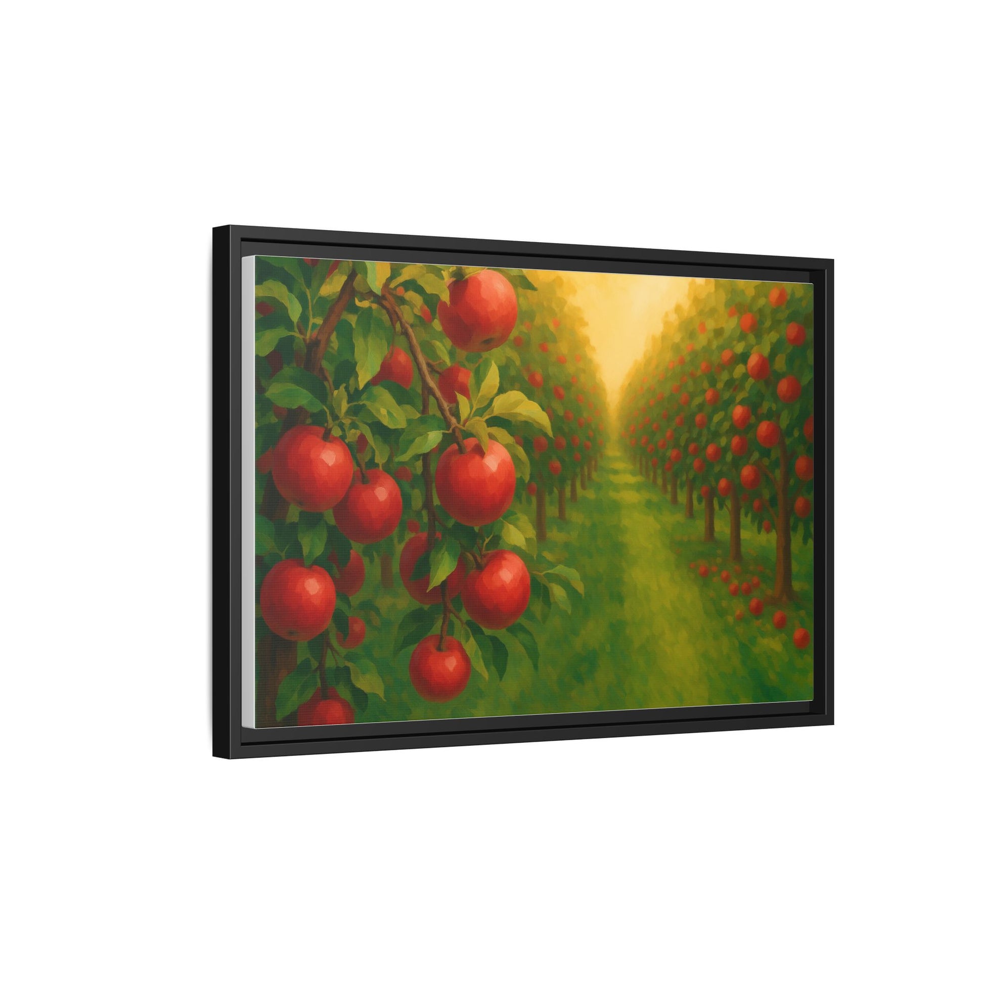 Apple Orchard Field