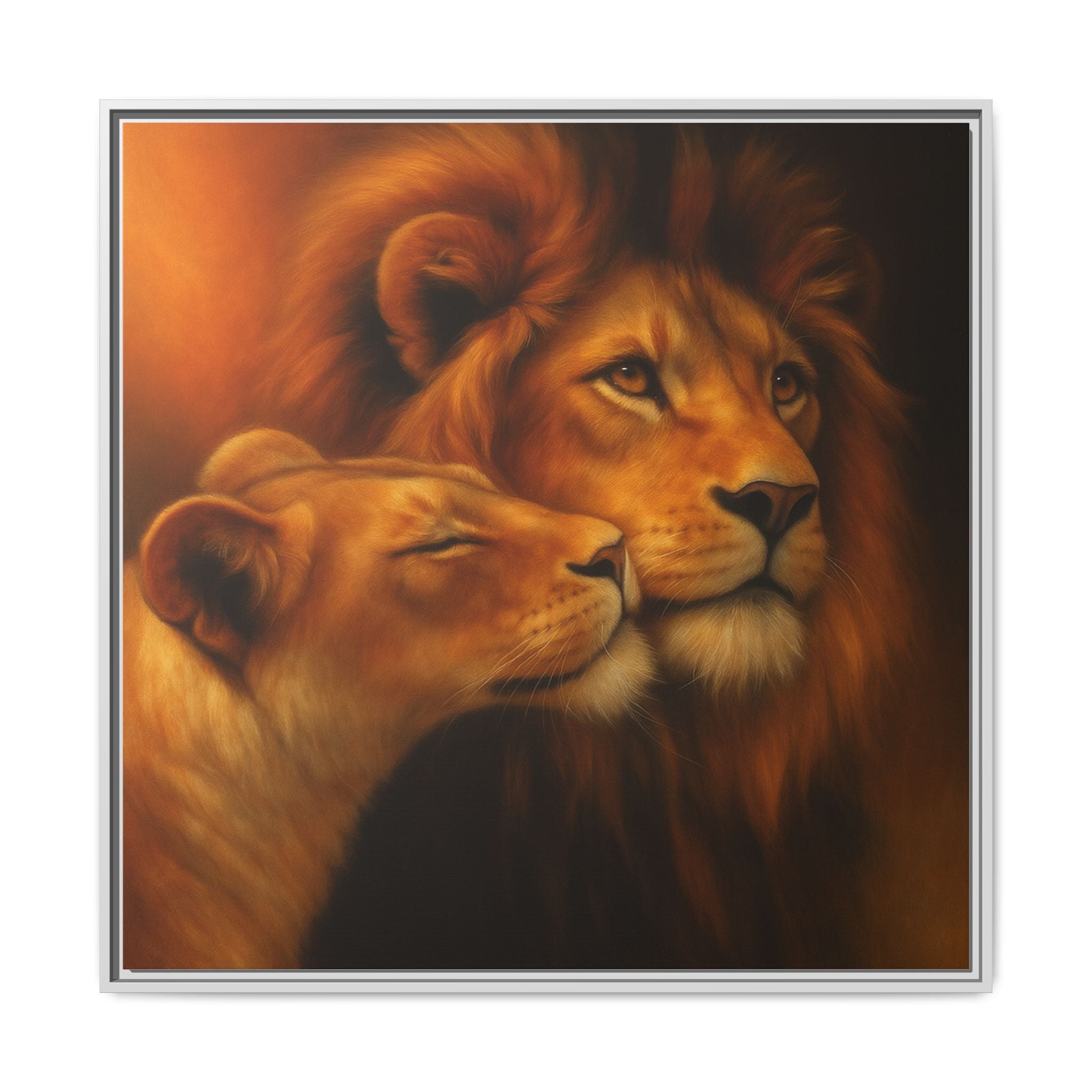 Lion Couple Wildlife