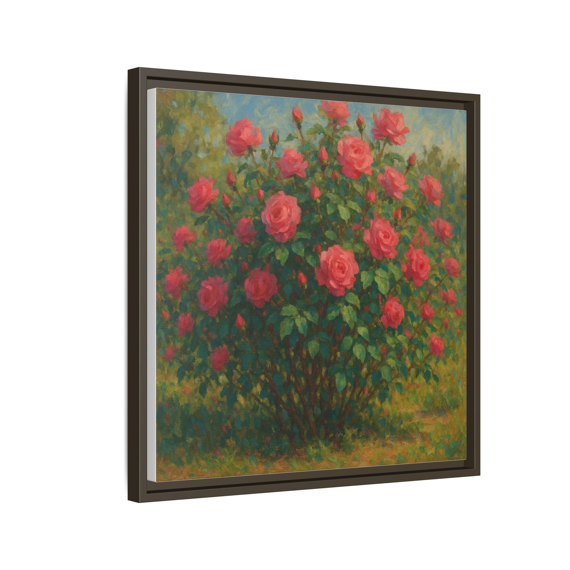 Pink Rose Bush
