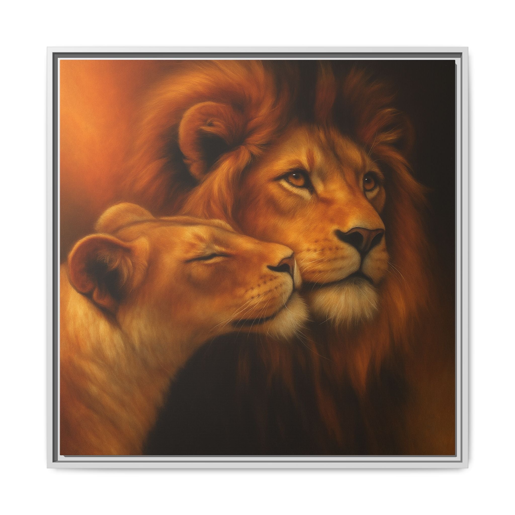 Lion Couple Wildlife