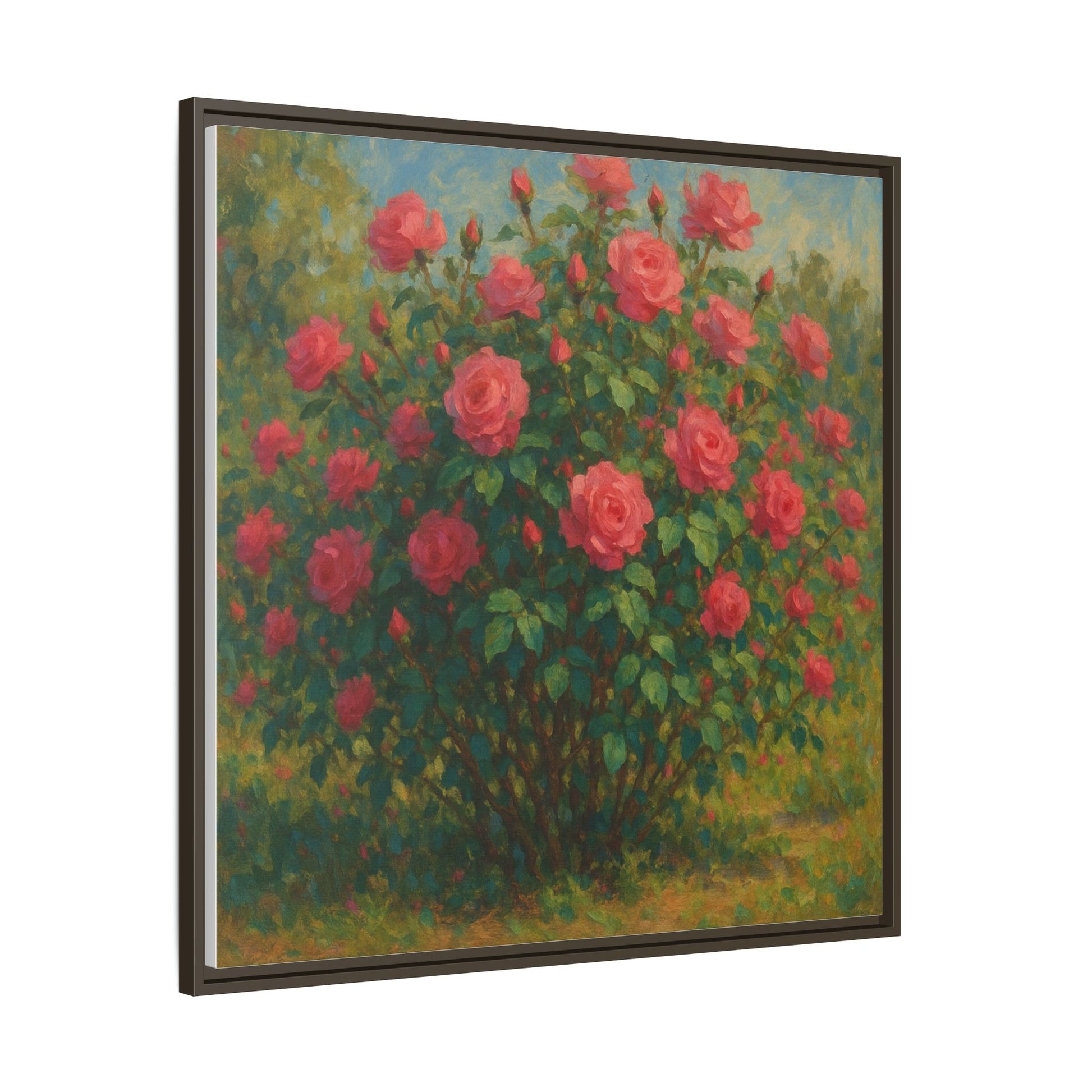 Pink Rose Bush