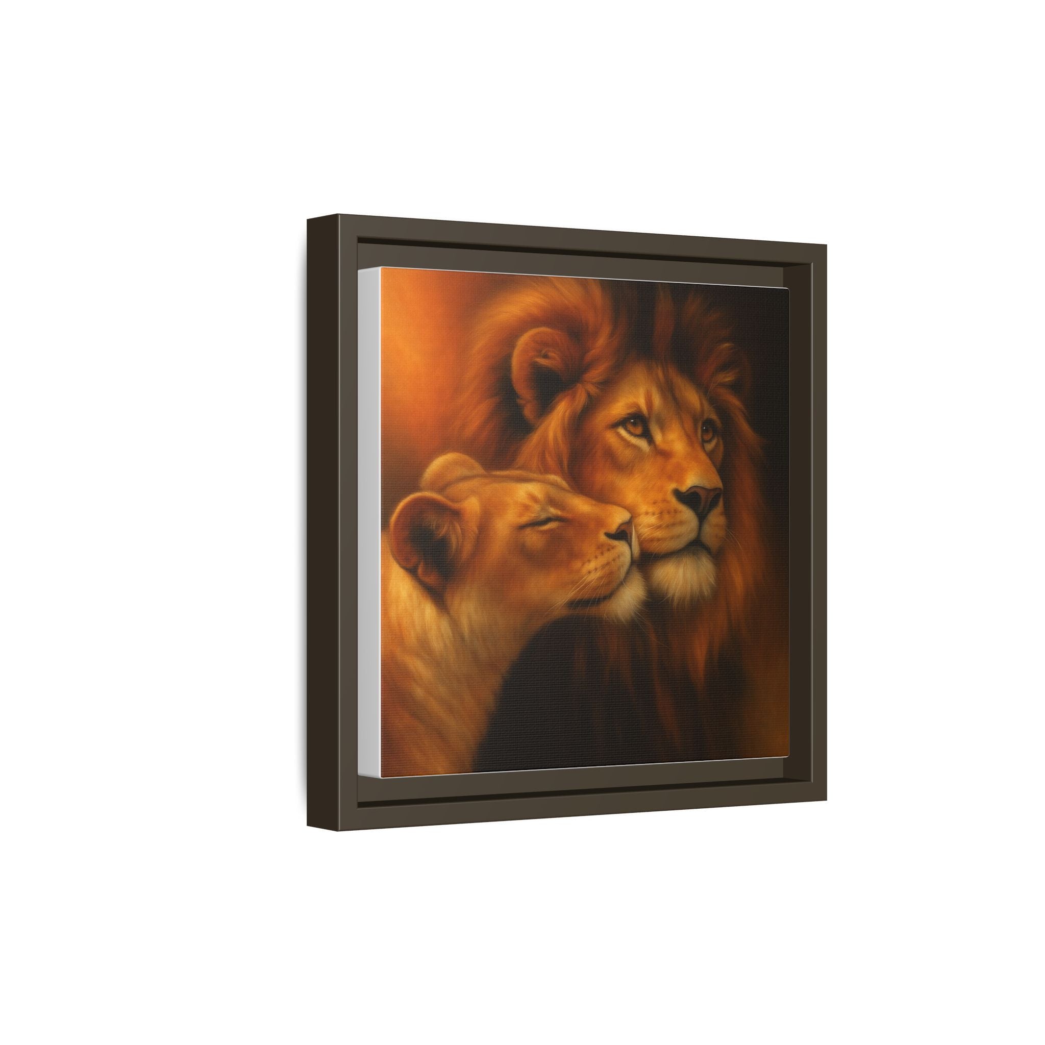 Lion Couple Wildlife