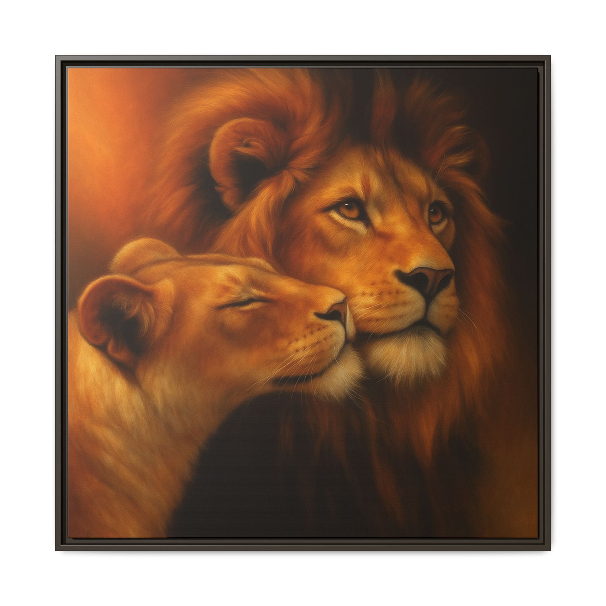 Lion Couple Wildlife