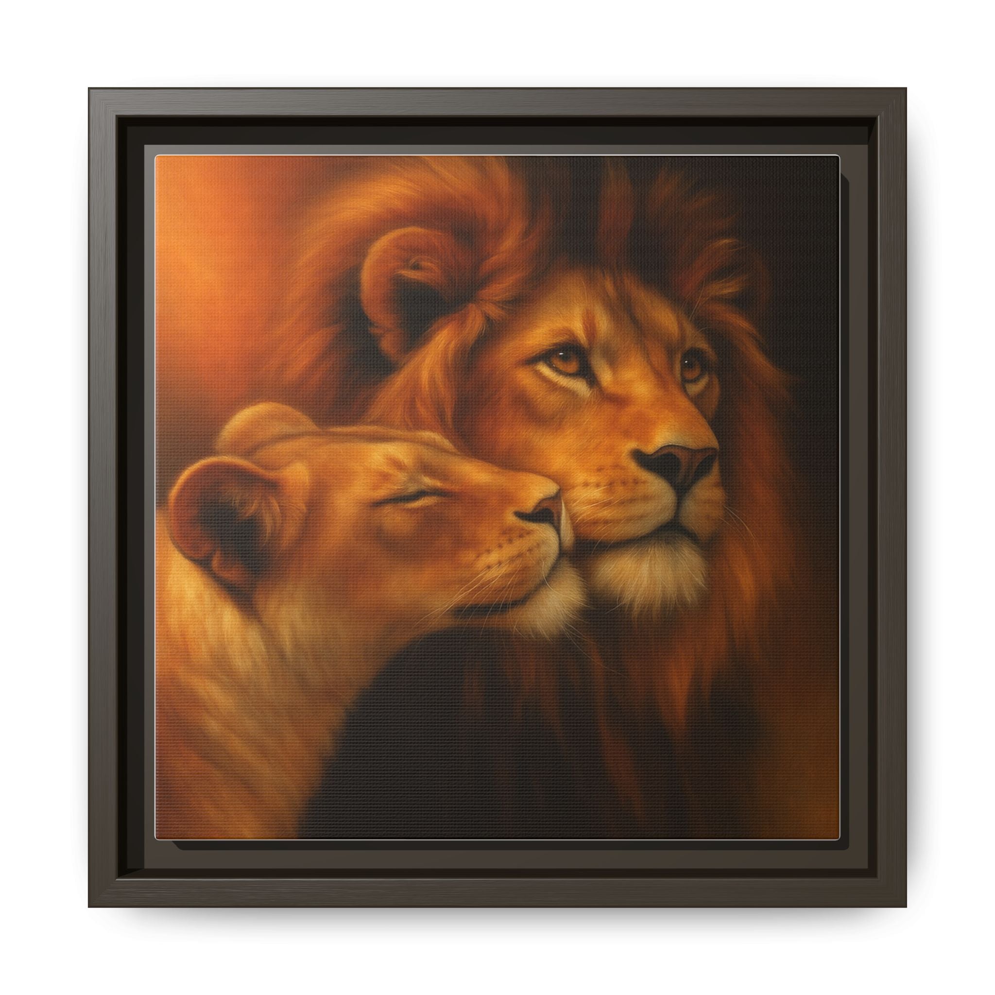 Lion Couple Wildlife