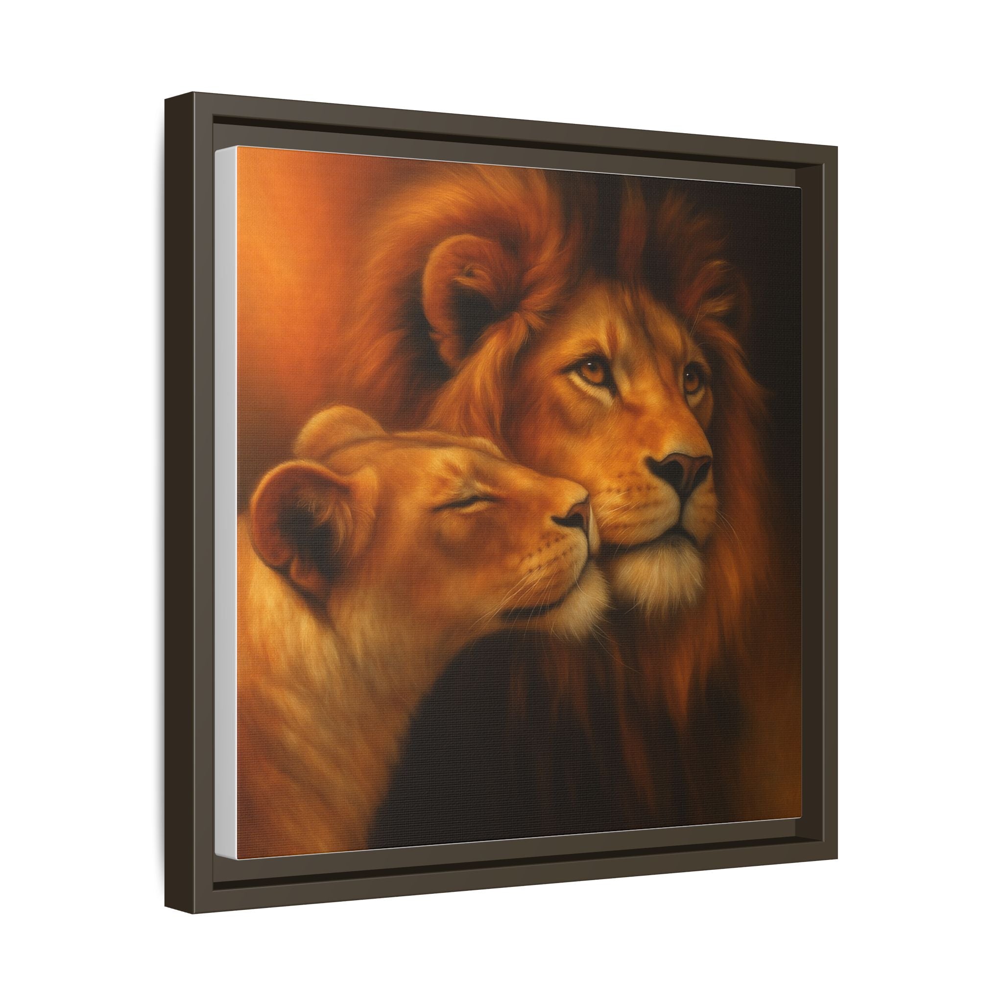 Lion Couple Wildlife