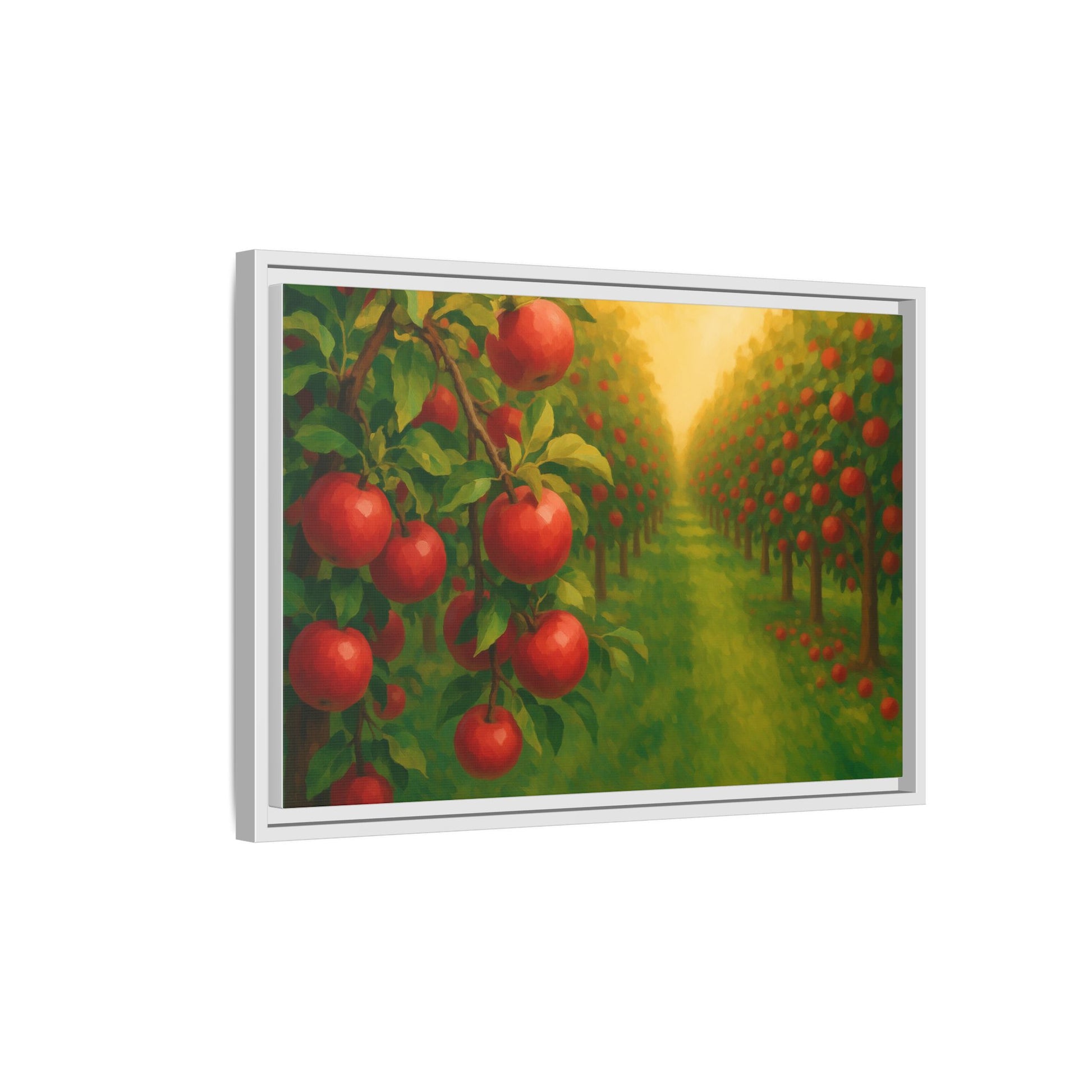 Apple Orchard Field