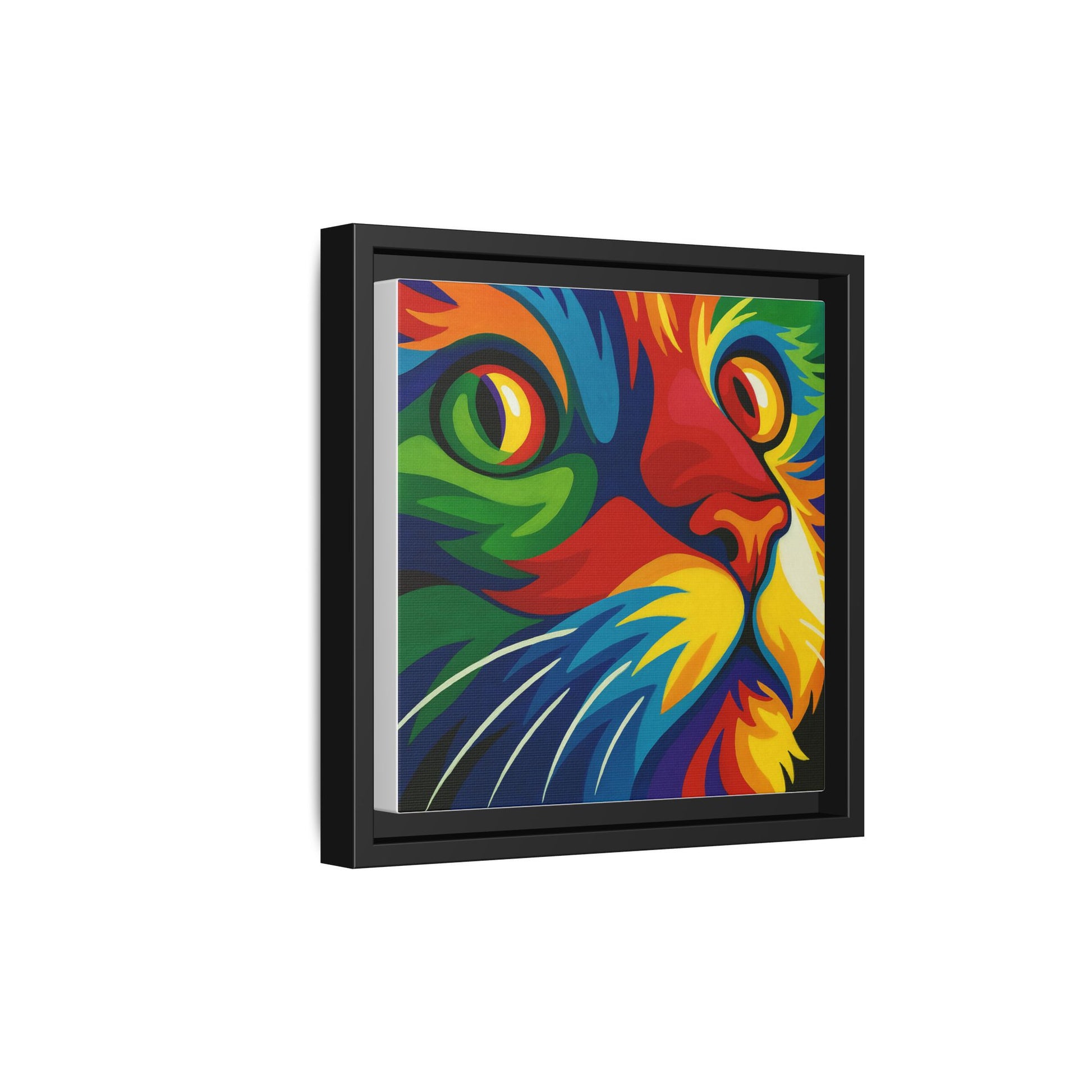 Color Cat Stare