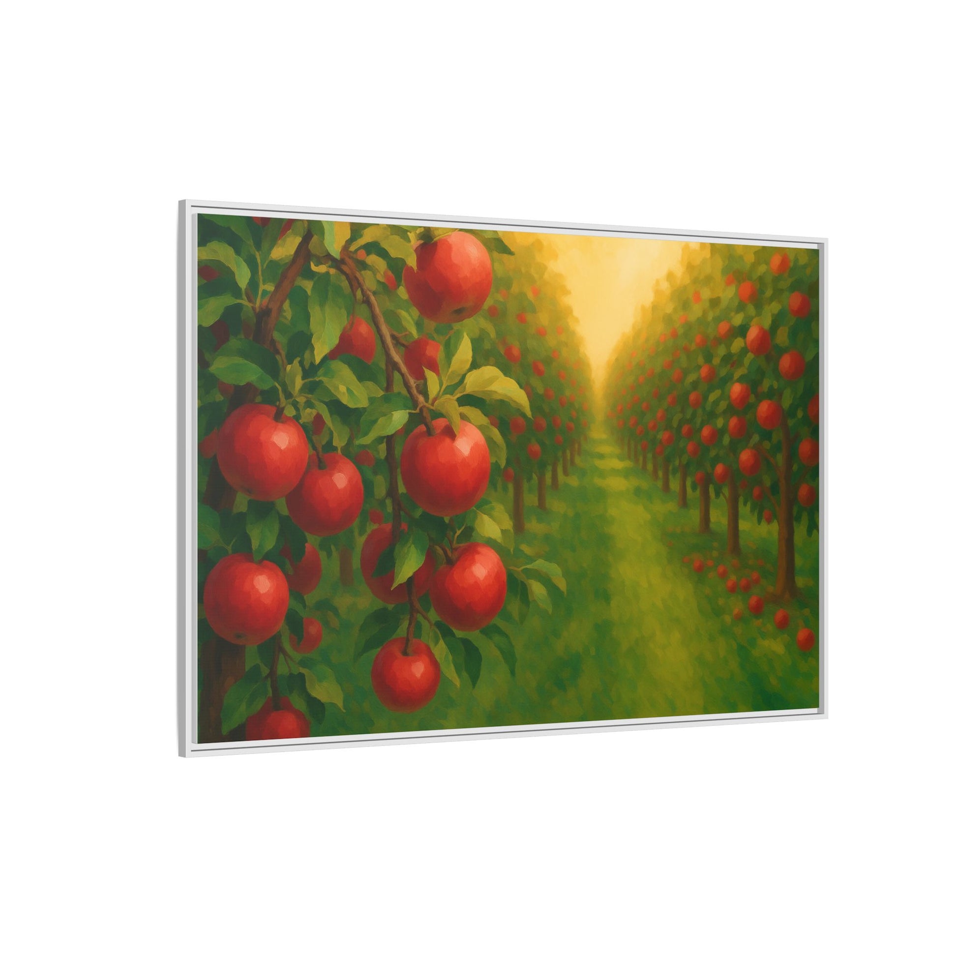 Apple Orchard Field