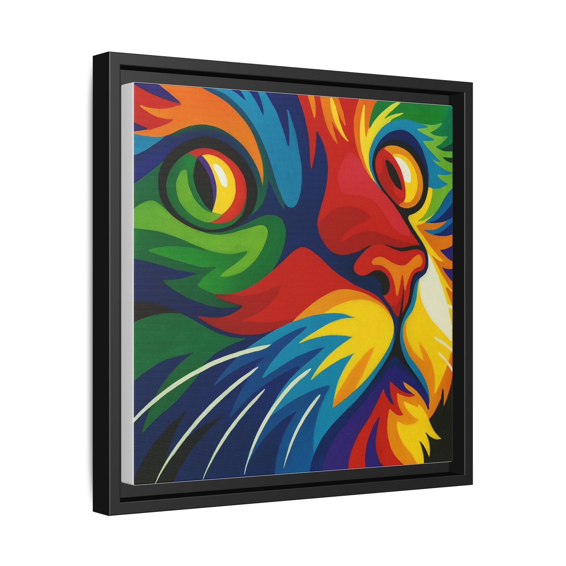 Color Cat Stare