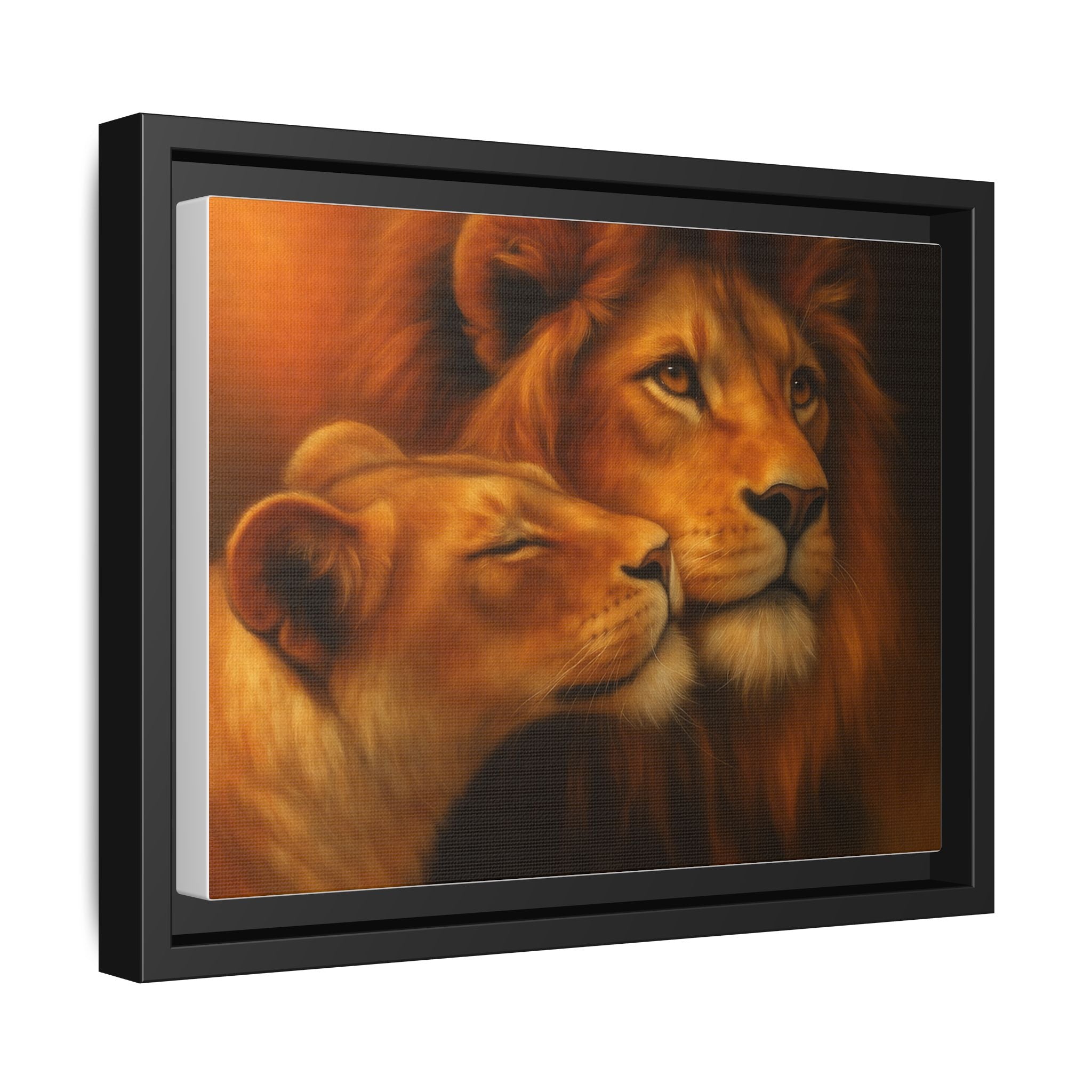 Lion Couple Wildlife