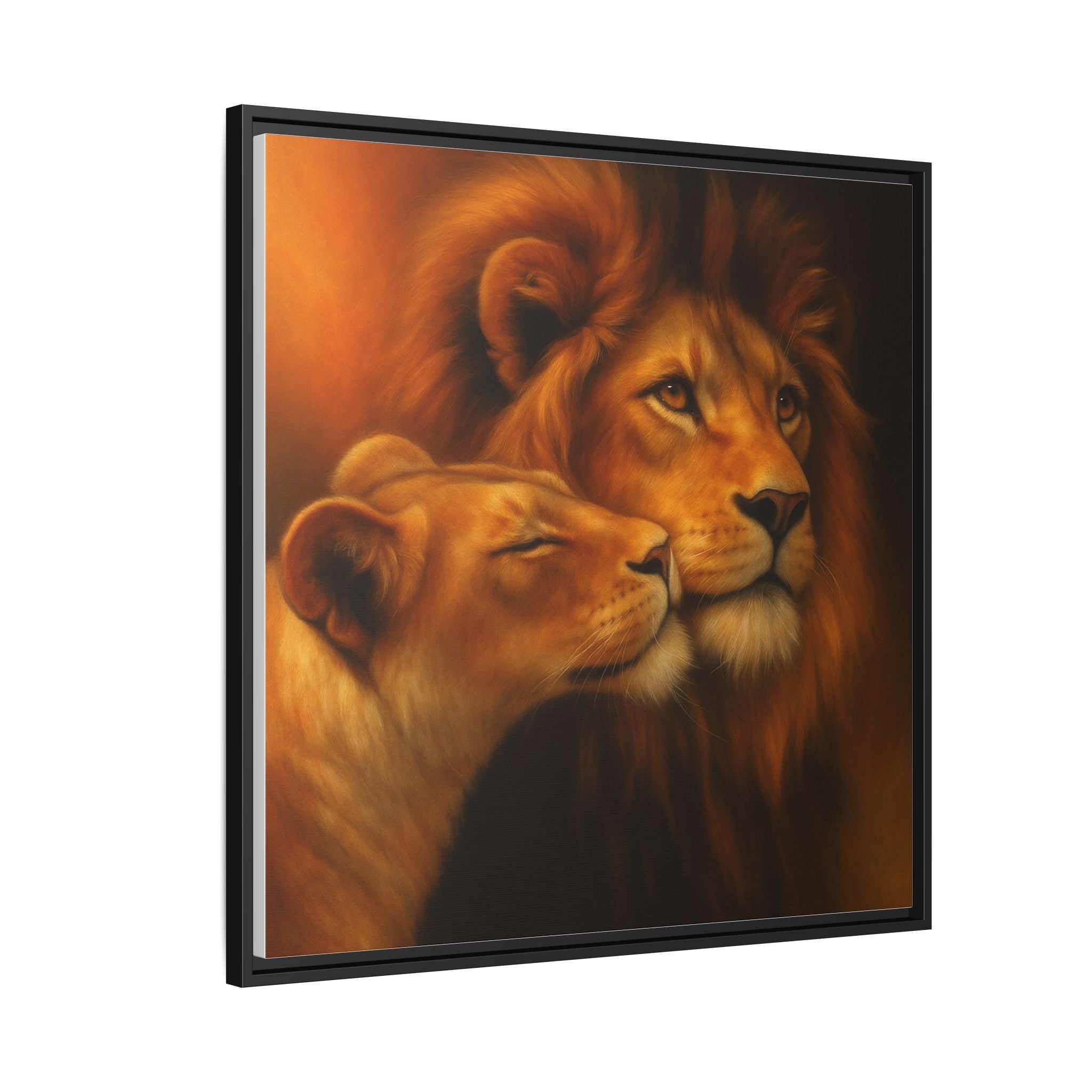 Lion Couple Wildlife