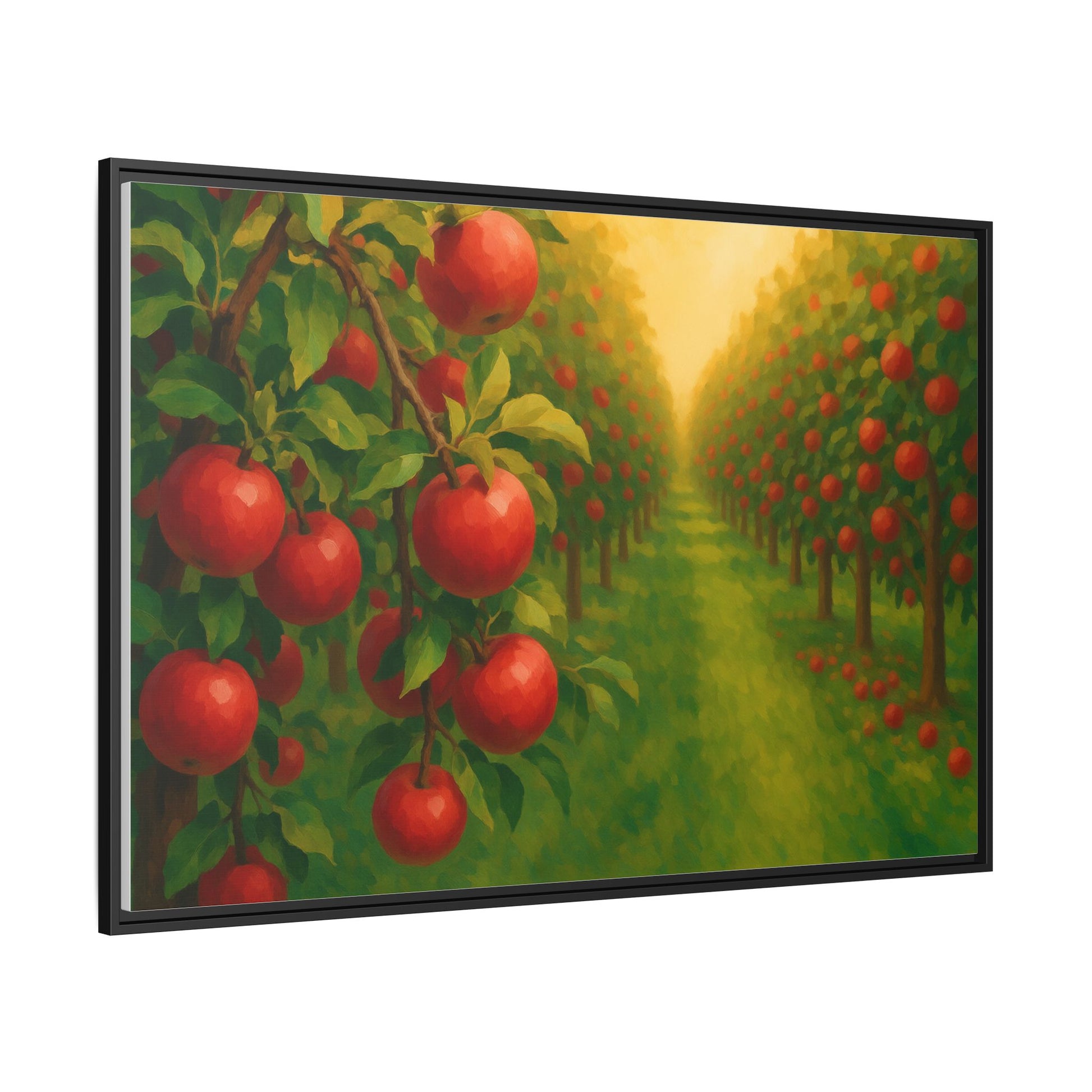 Apple Orchard Field