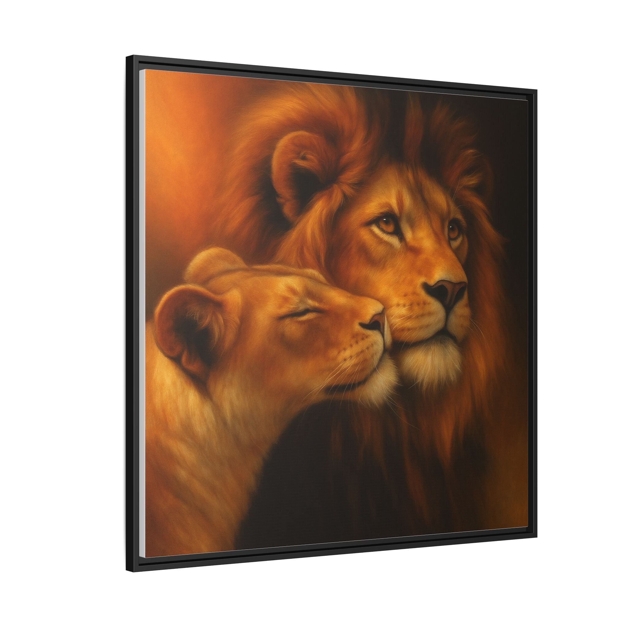 Lion Couple Wildlife