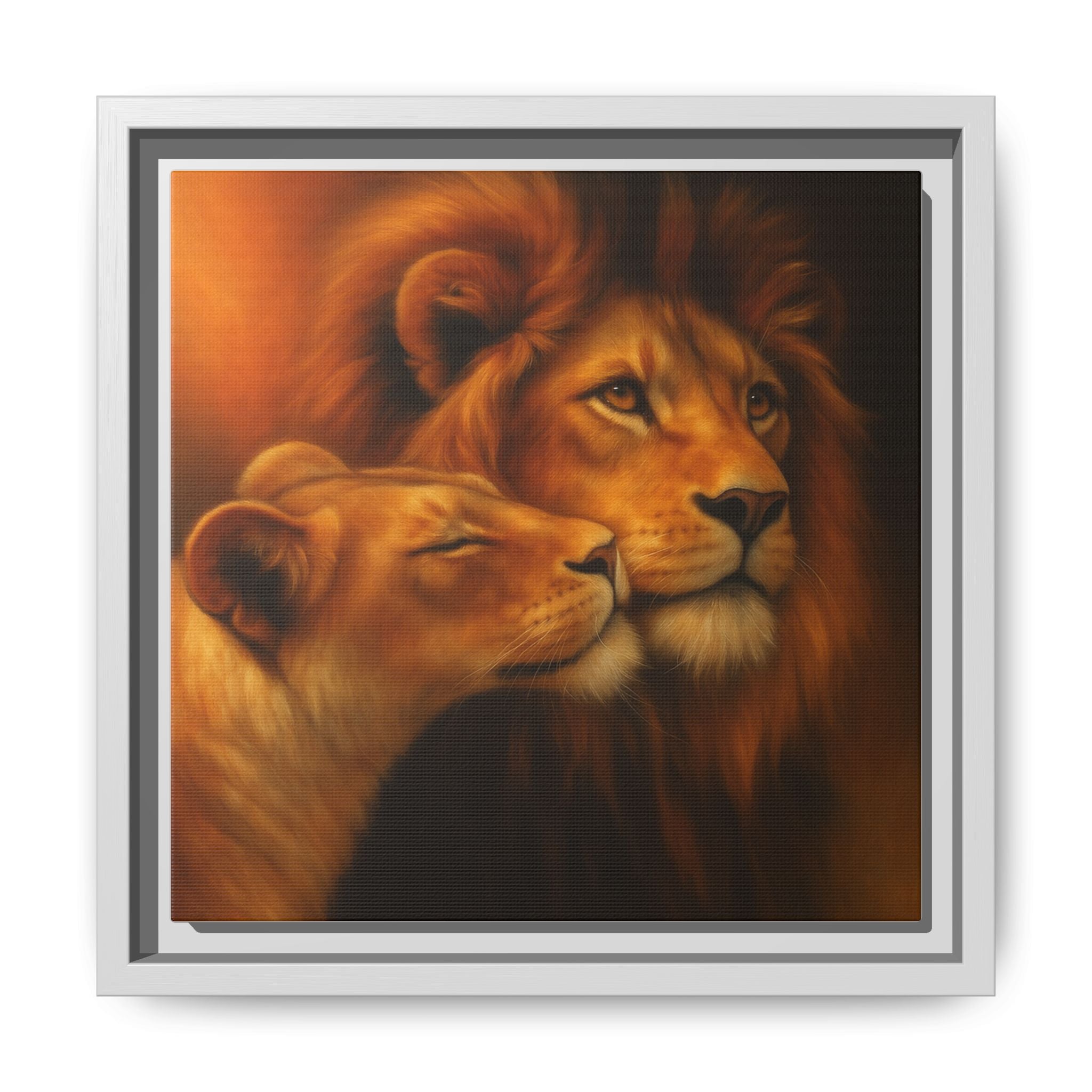 Lion Couple Wildlife