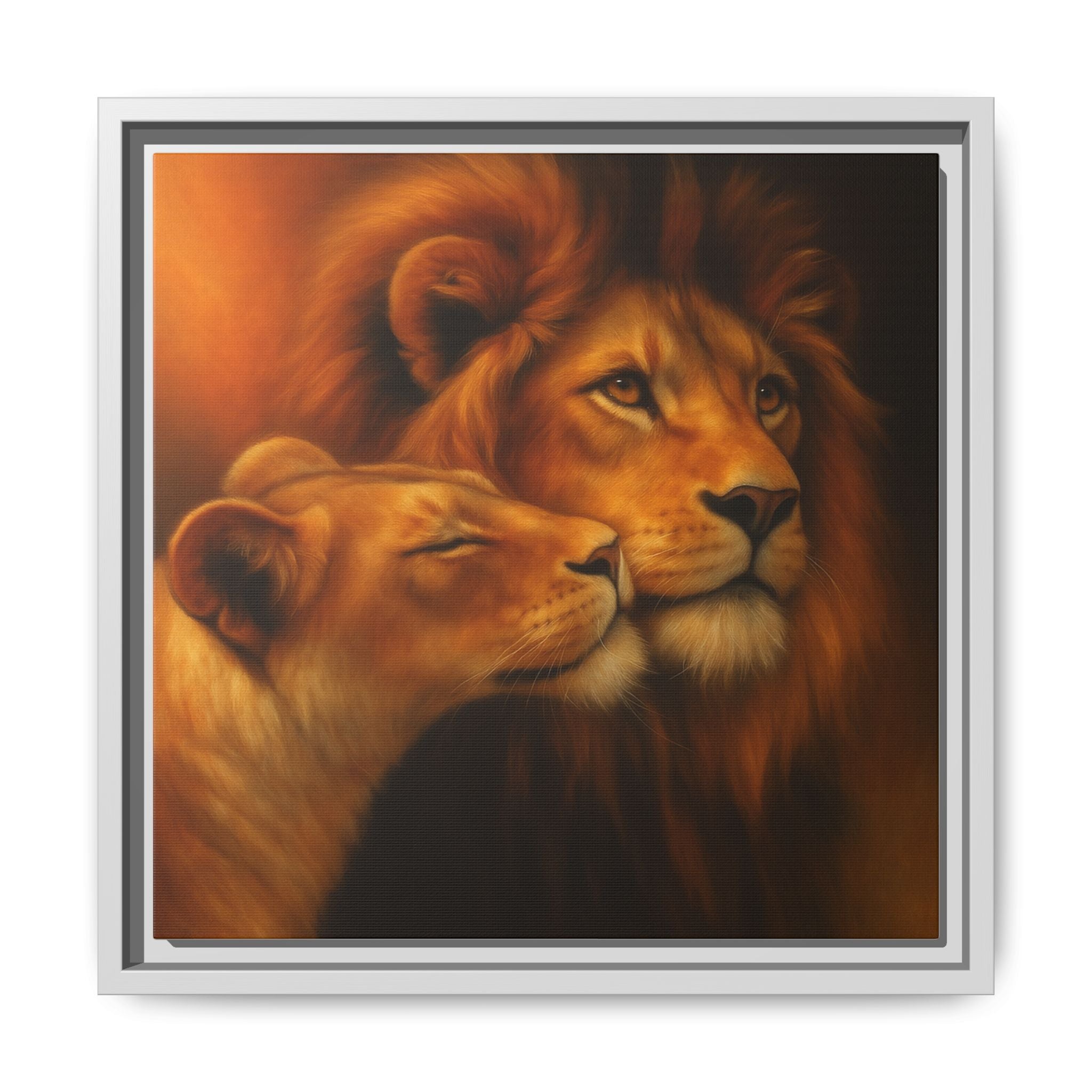Lion Couple Wildlife