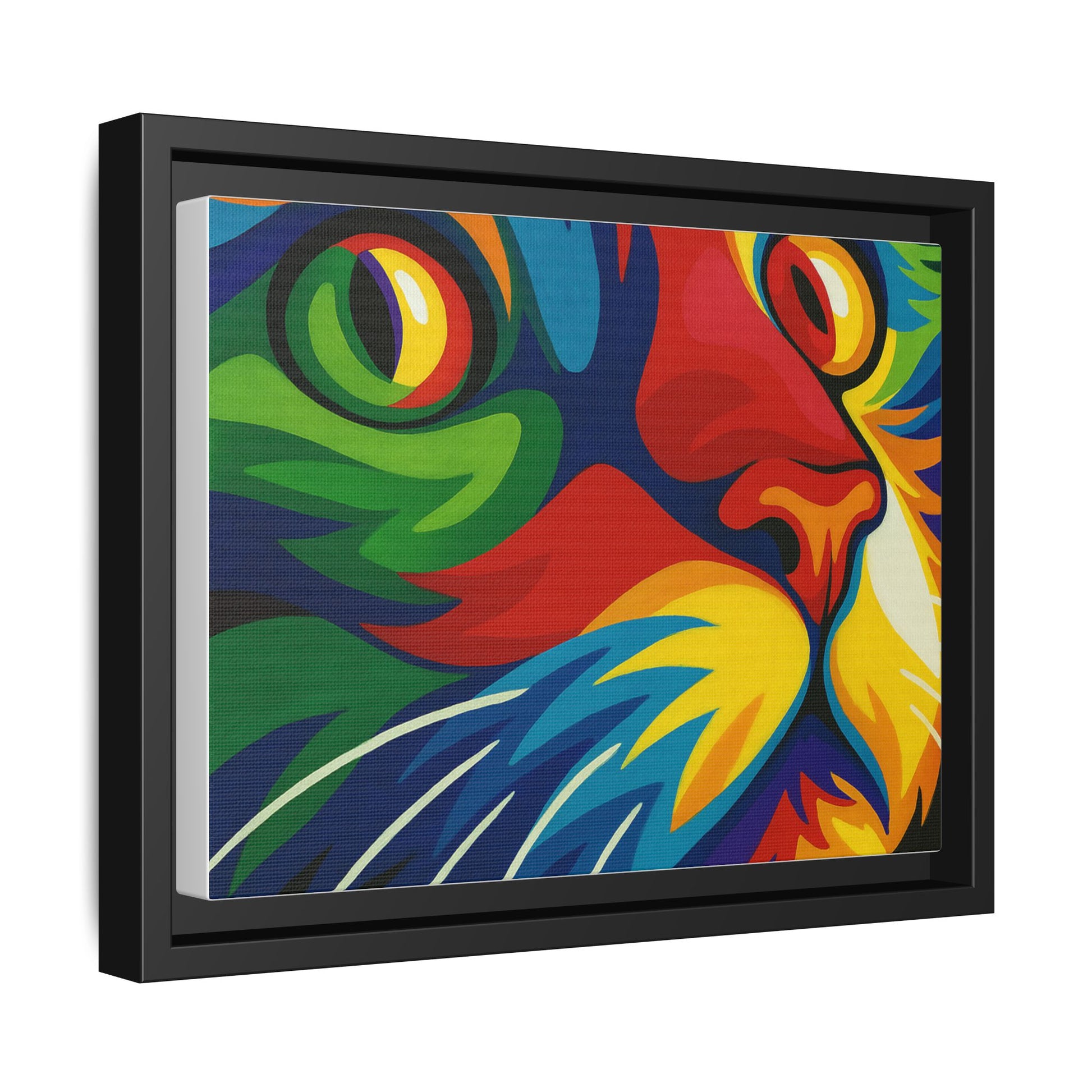 Color Cat Stare