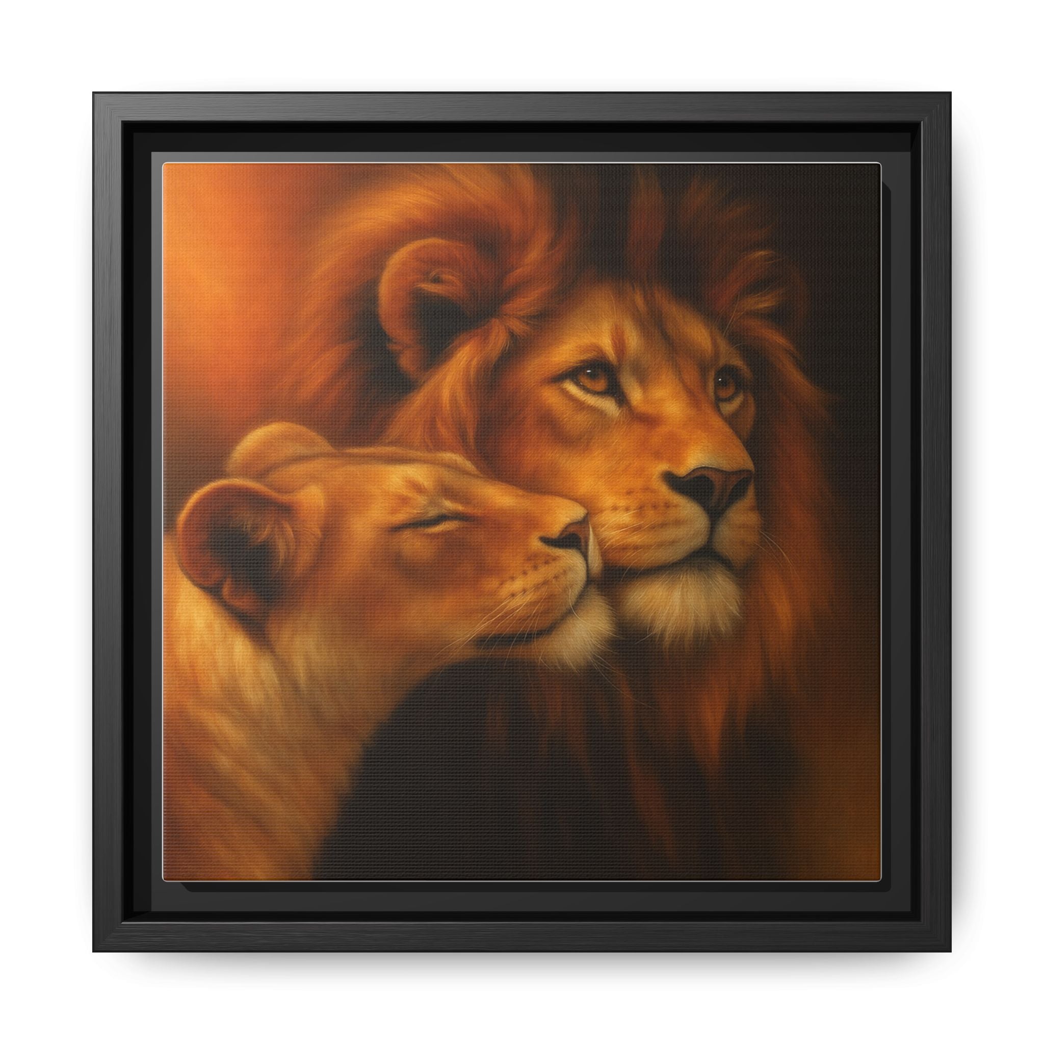 Lion Couple Wildlife