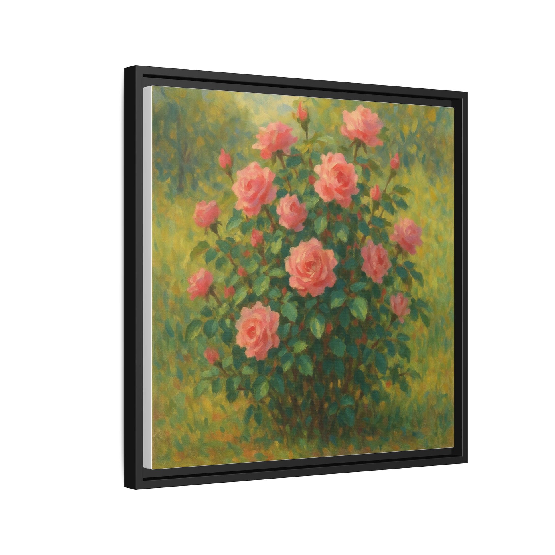 Pink Rose Bush 2