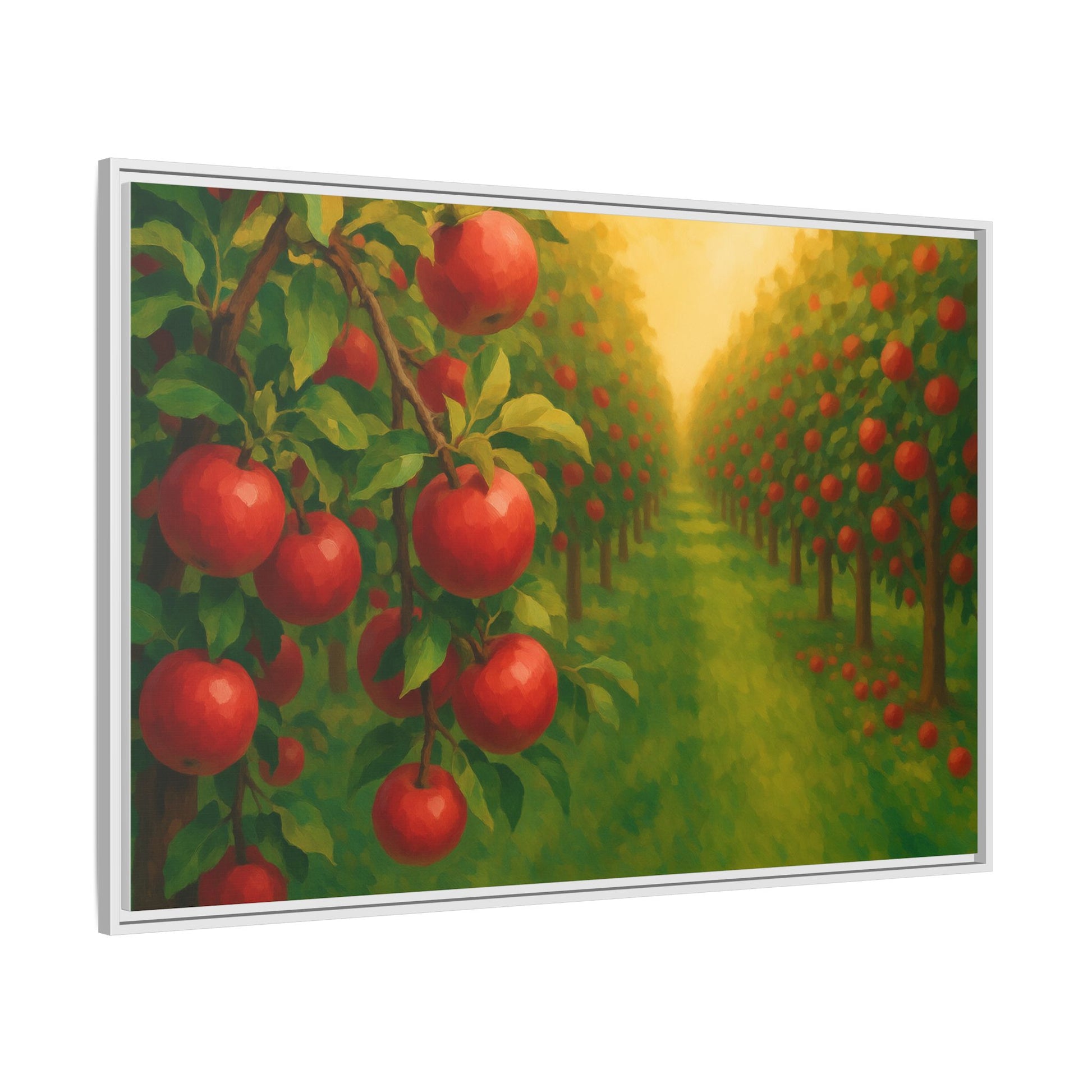 Apple Orchard Field