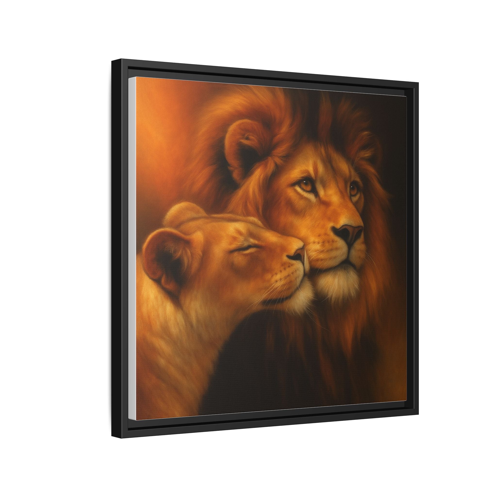 Lion Couple Wildlife